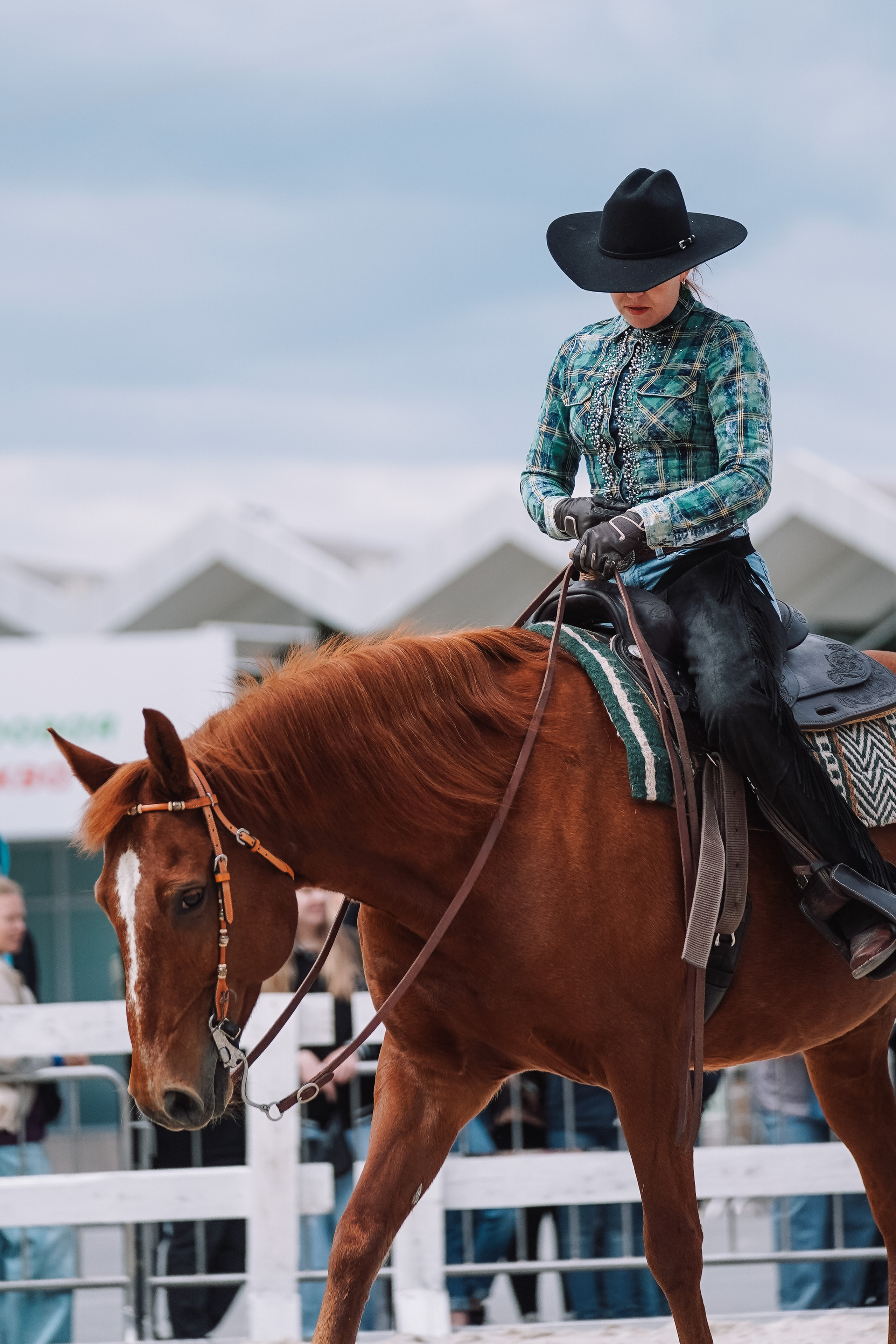 Выставка «Эквирос». Спортивный и репортажный фотограф в Москве и области Мари Панадеро