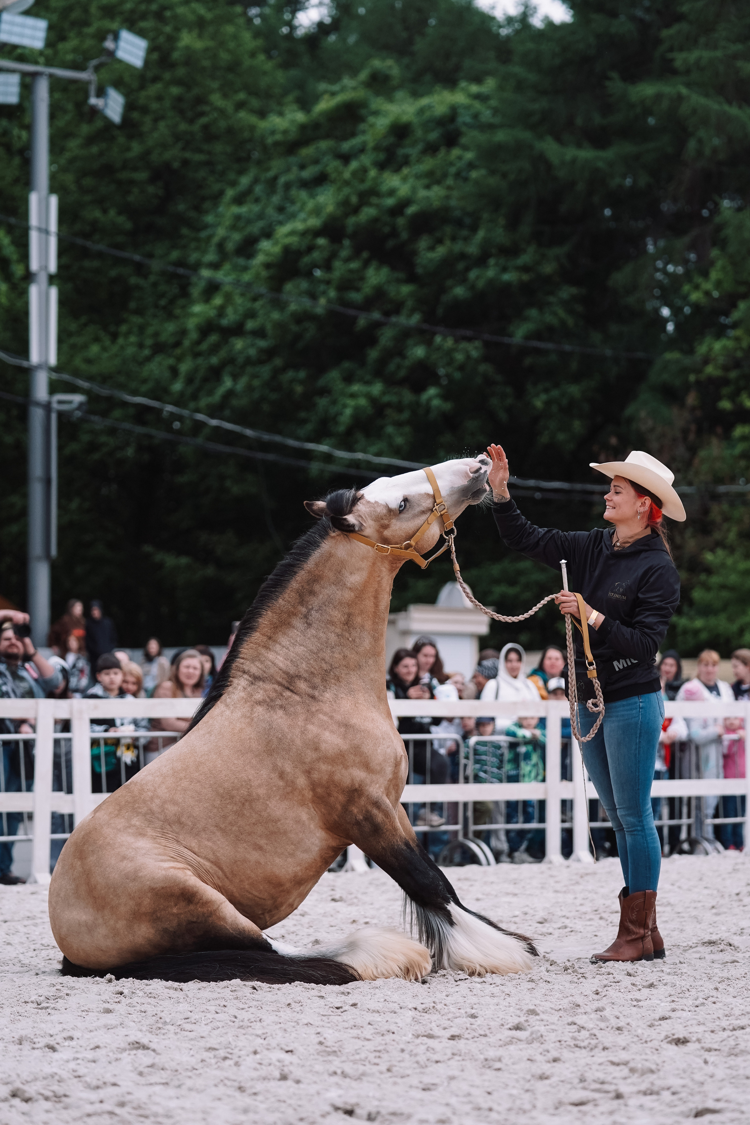 Выставка «Эквирос». Спортивный и репортажный фотограф в Москве и области Мари Панадеро