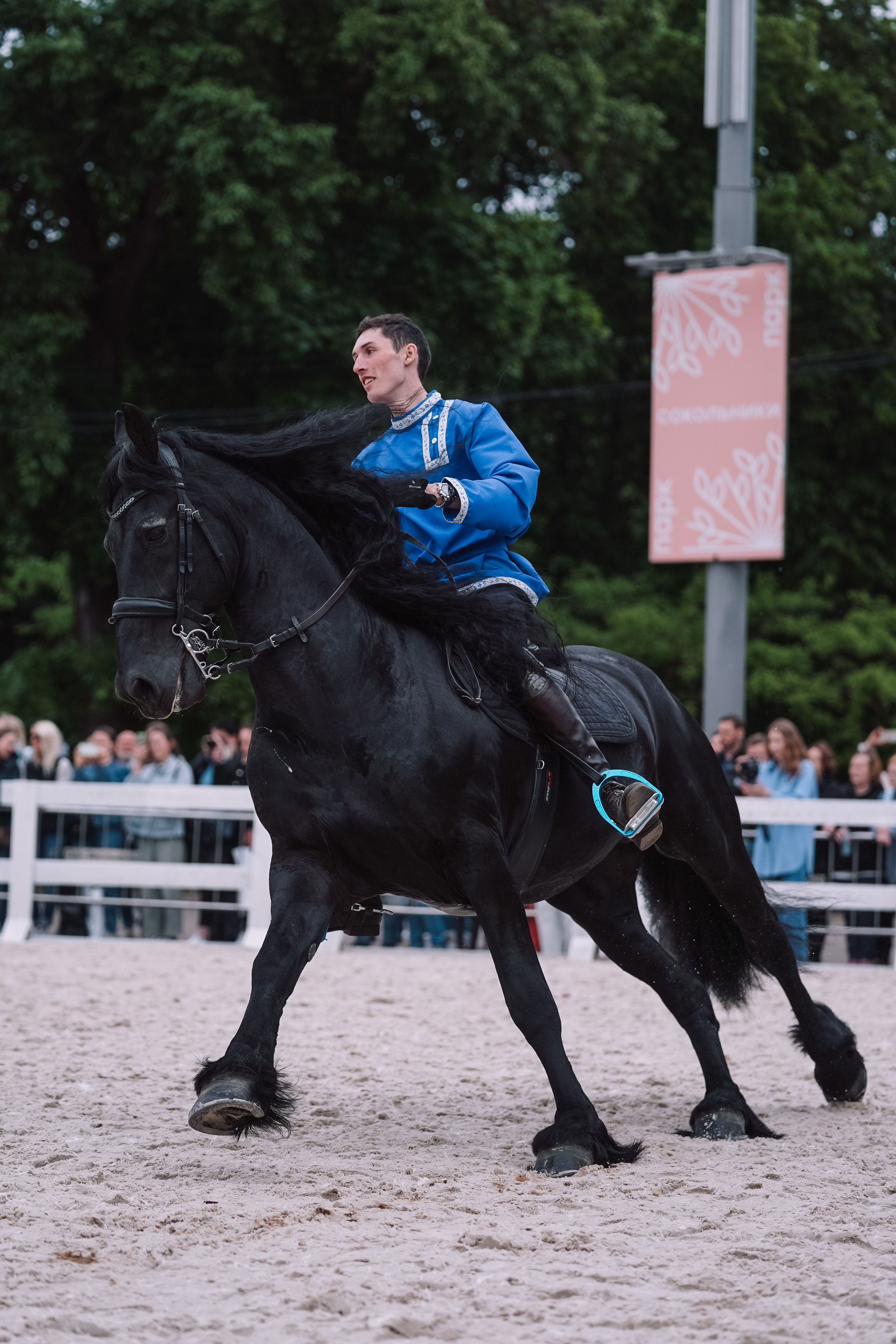 Выставка «Эквирос». Спортивный и репортажный фотограф в Москве и области Мари Панадеро