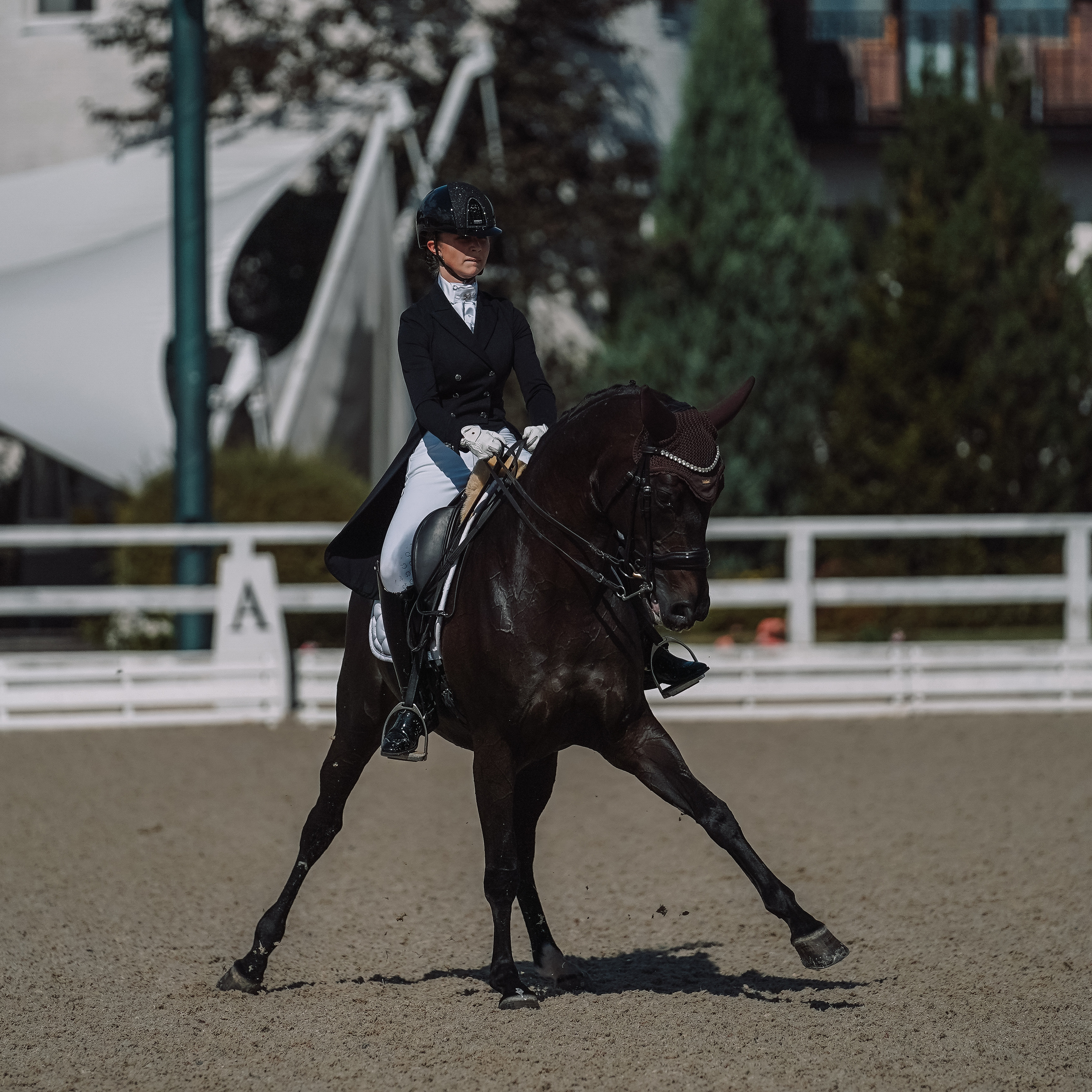 Выездка. Спортивный и репортажный фотограф в Москве и области Мари Панадеро