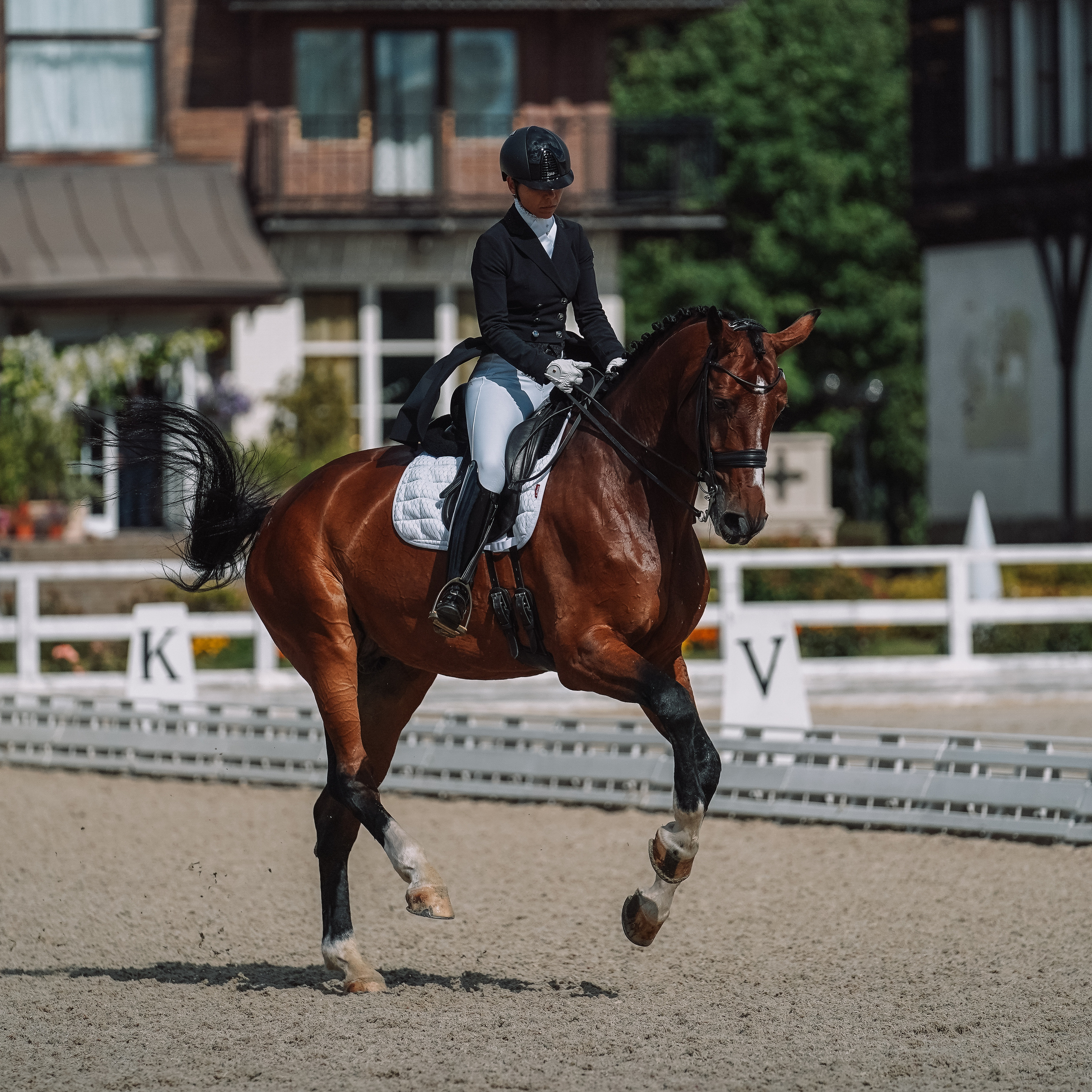 Выездка. Спортивный и репортажный фотограф в Москве и области Мари Панадеро