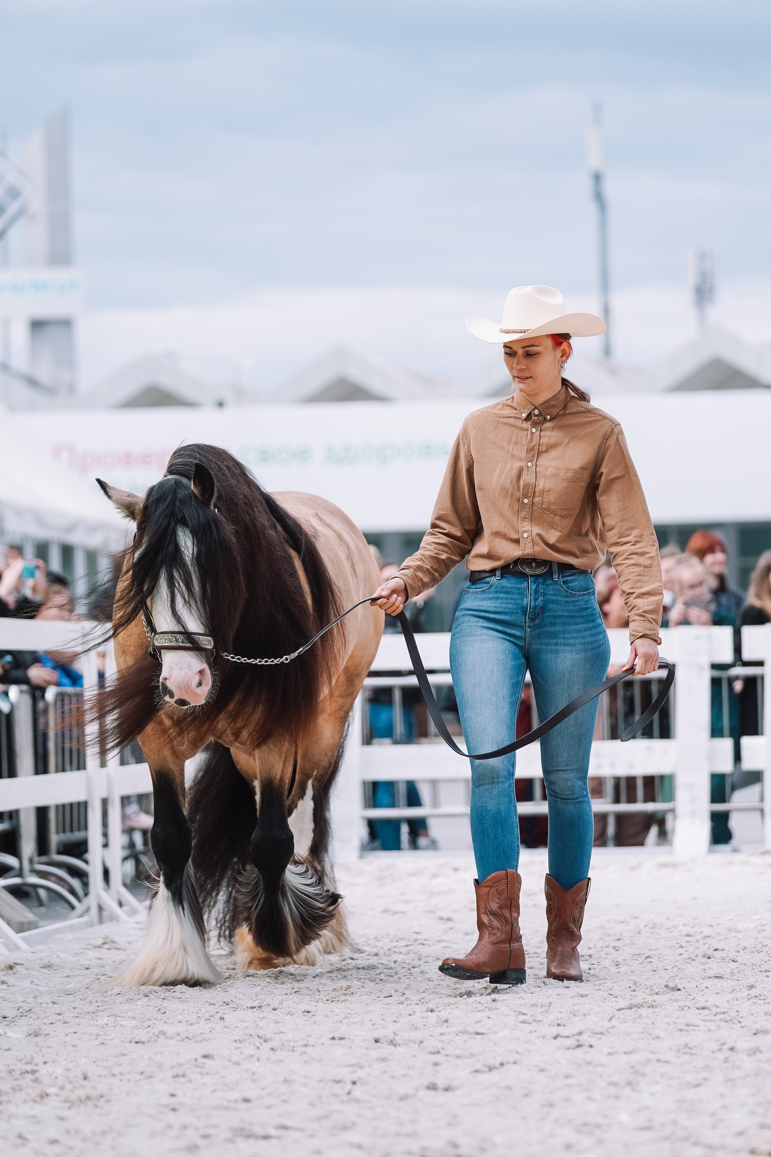 Выставка «Эквирос». Спортивный и репортажный фотограф в Москве и области Мари Панадеро