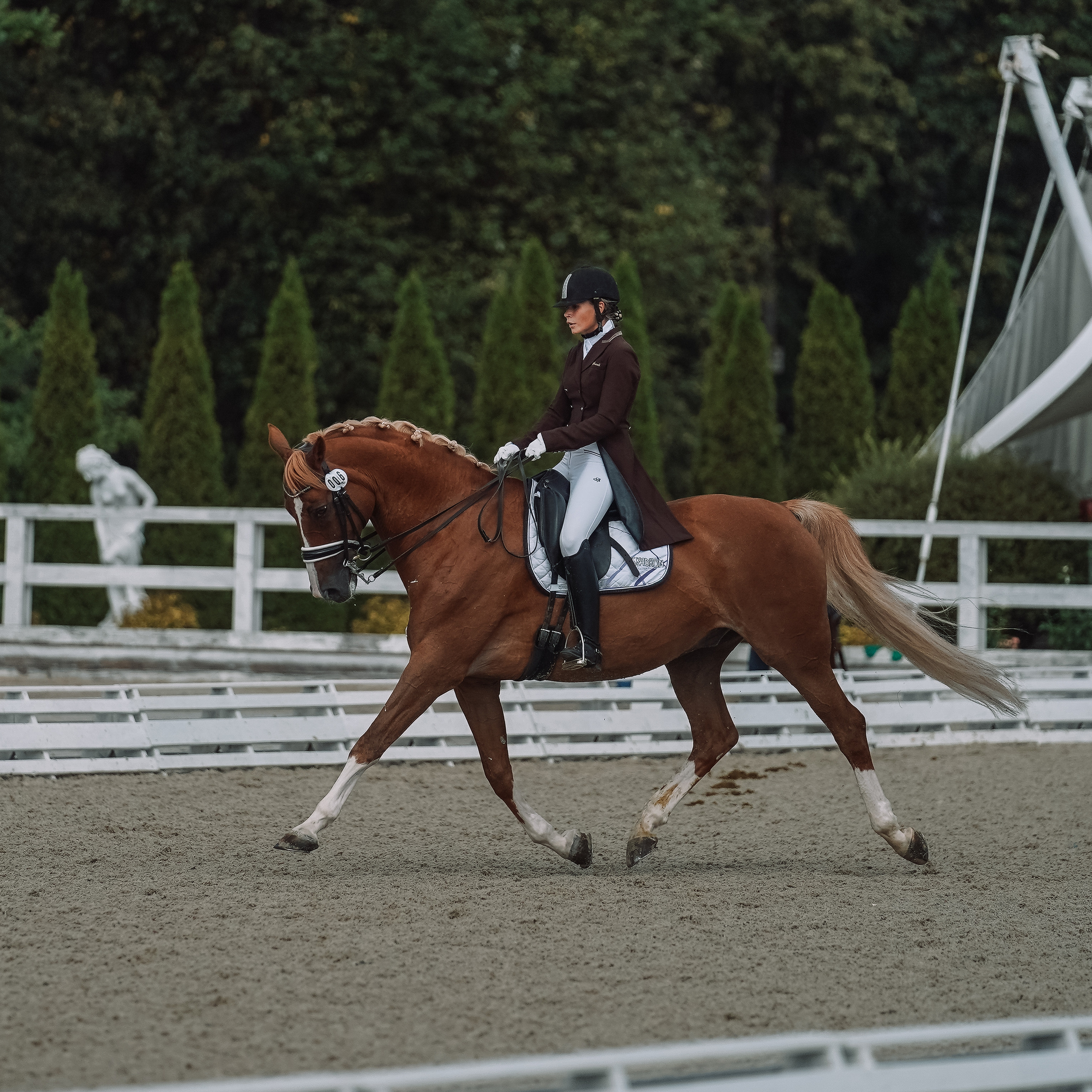 Выездка. Спортивный и репортажный фотограф в Москве и области Мари Панадеро