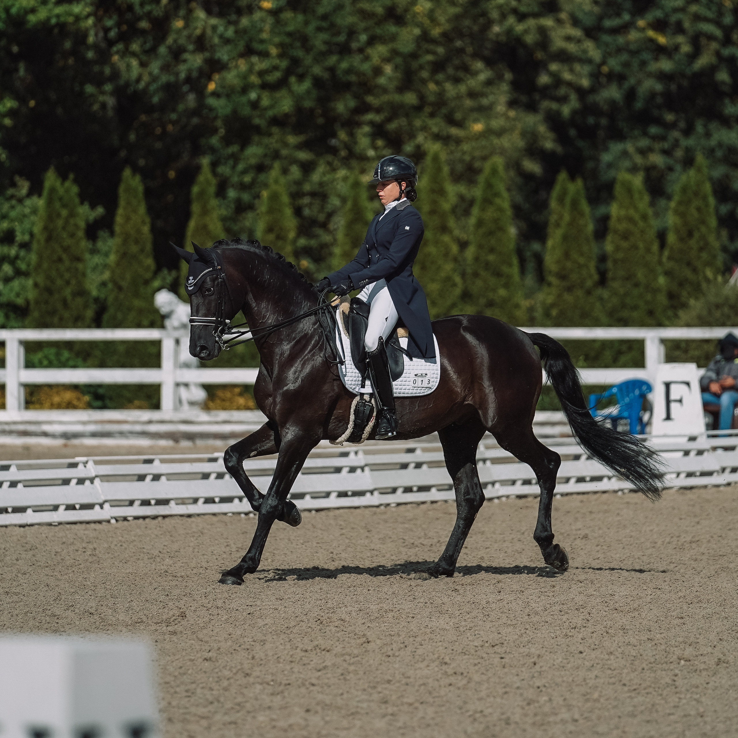 Выездка. Спортивный и репортажный фотограф в Москве и области Мари Панадеро