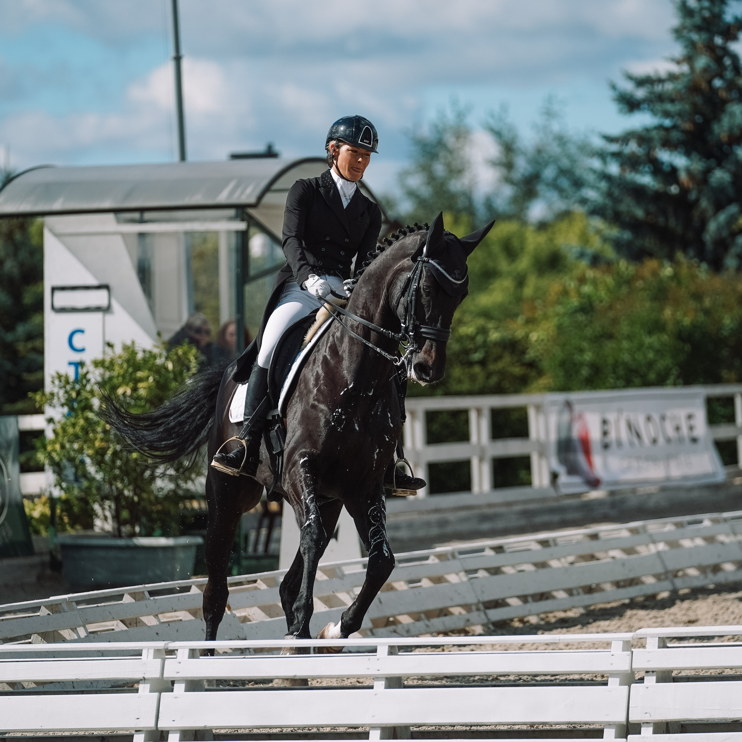 Выездка. Спортивный и репортажный фотограф в Москве и области Мари Панадеро