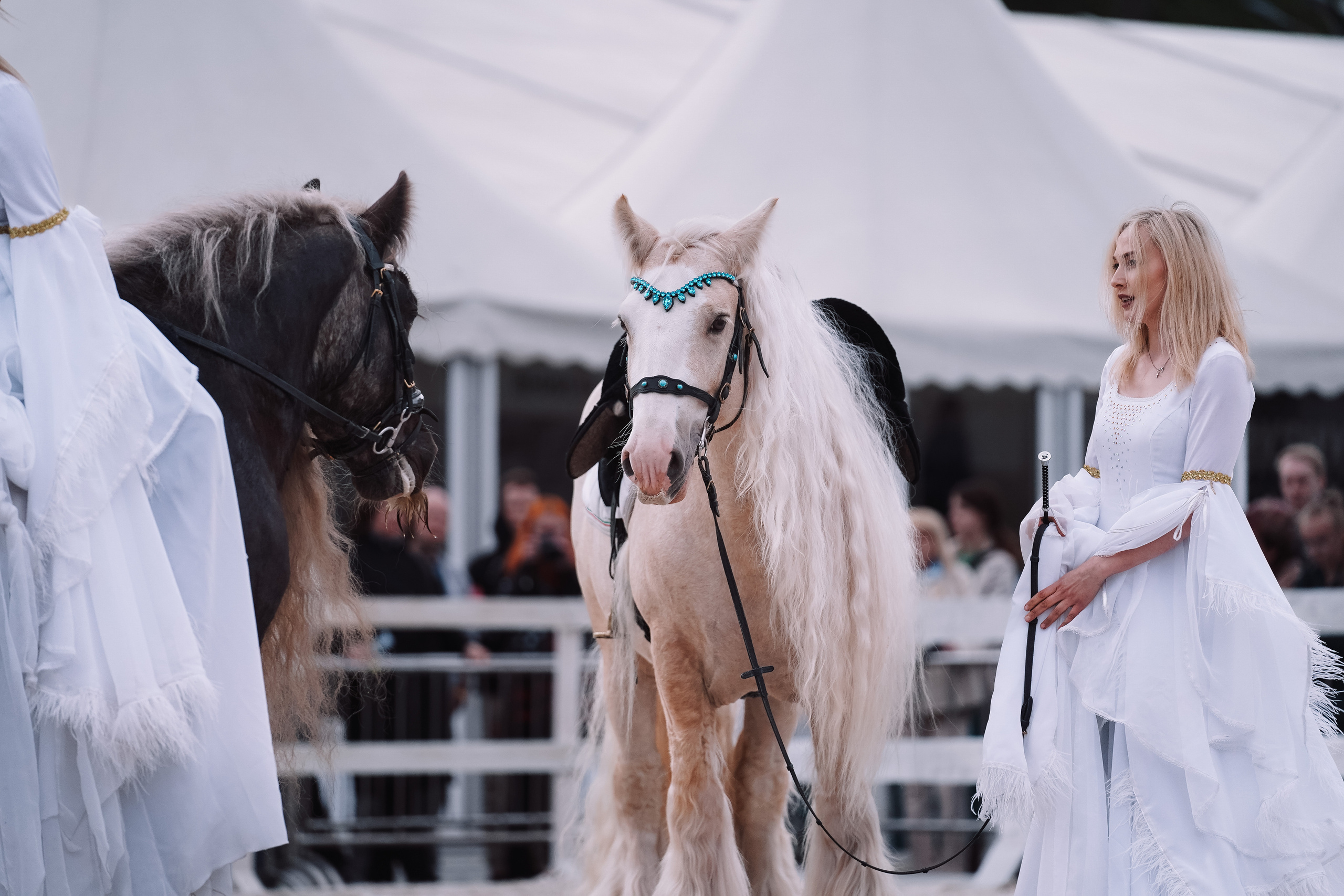 Спортивный и репортажный фотограф в Москве и области Мари Панадеро