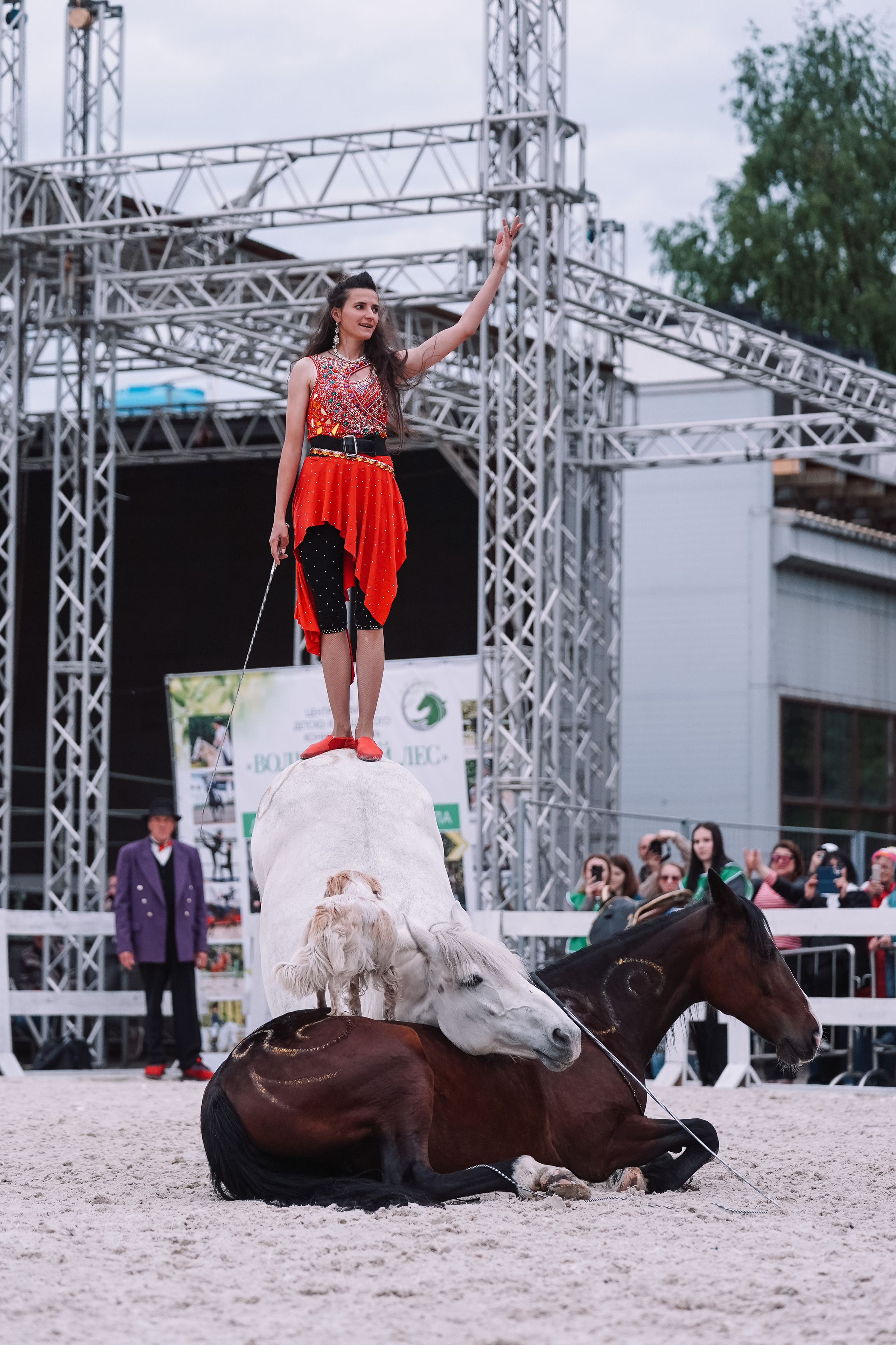 Выставка «Эквирос». Спортивный и репортажный фотограф в Москве и области Мари Панадеро