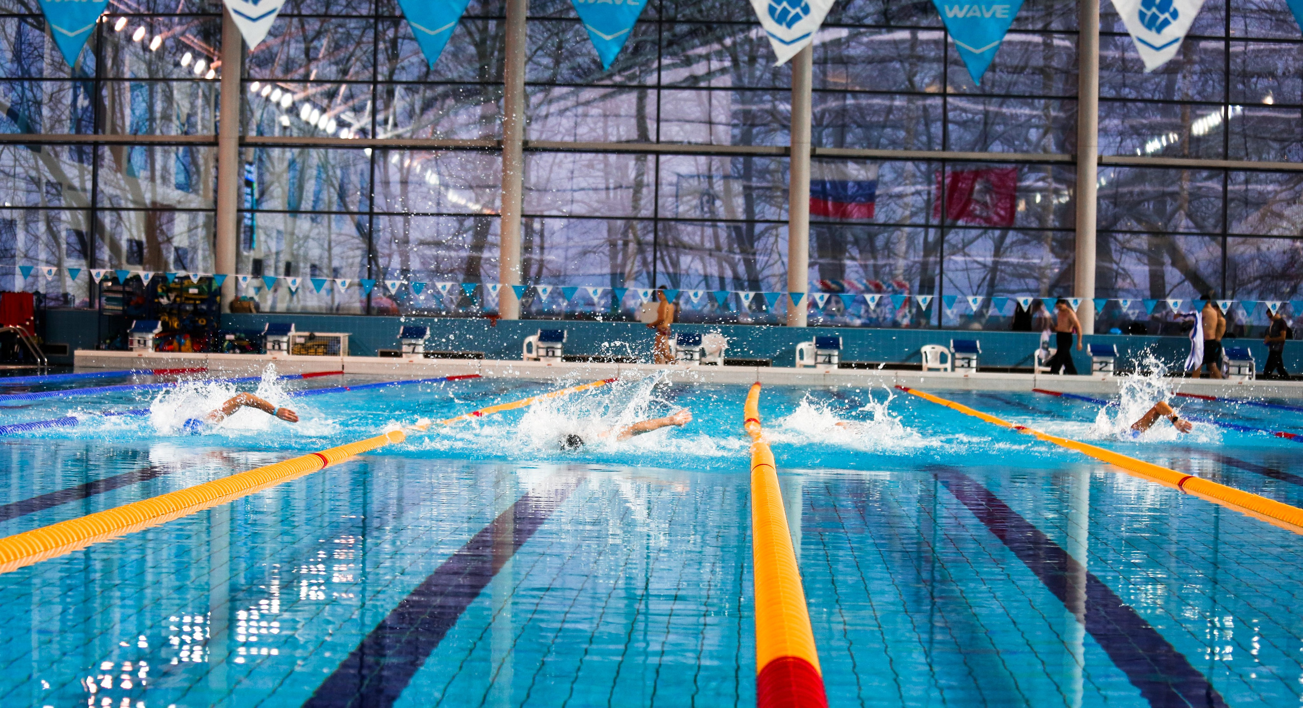 Соревнования по плаванию. Репортажный, семейный, свадебный, портретный фотограф