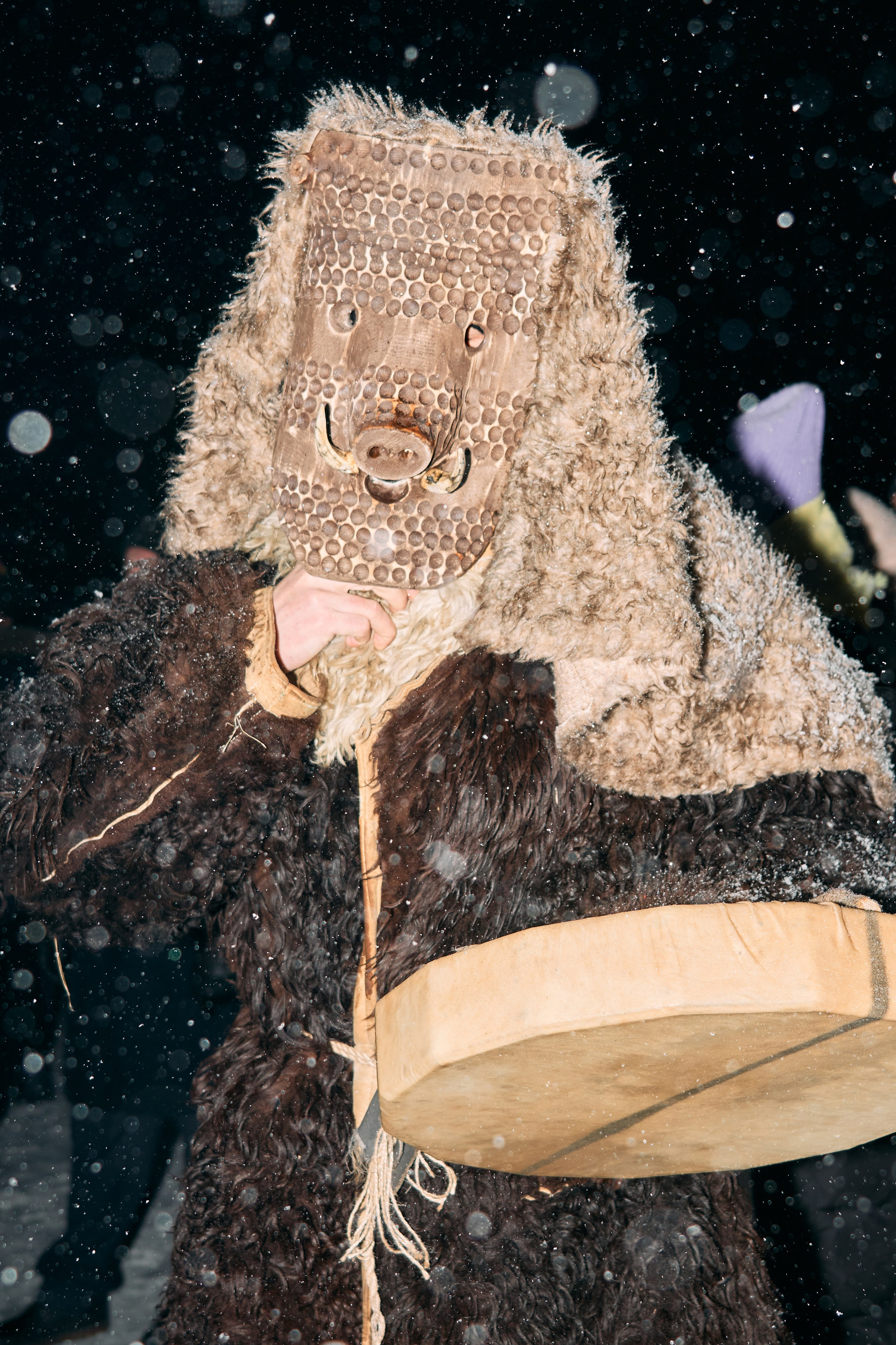 С медведем по соседям. Фотограф