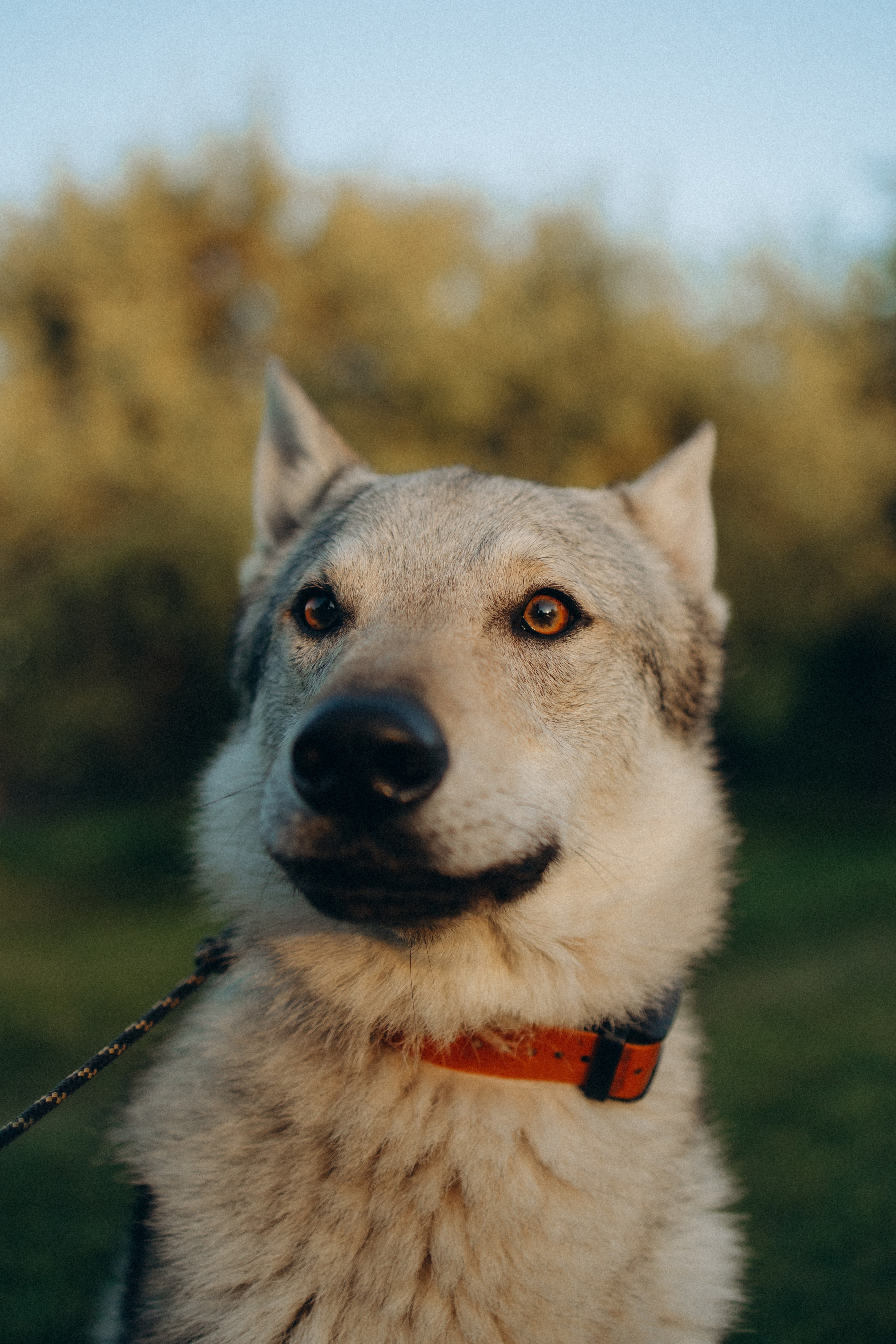 Аня и ее семья. Фотораф — анималист Мария Шистка