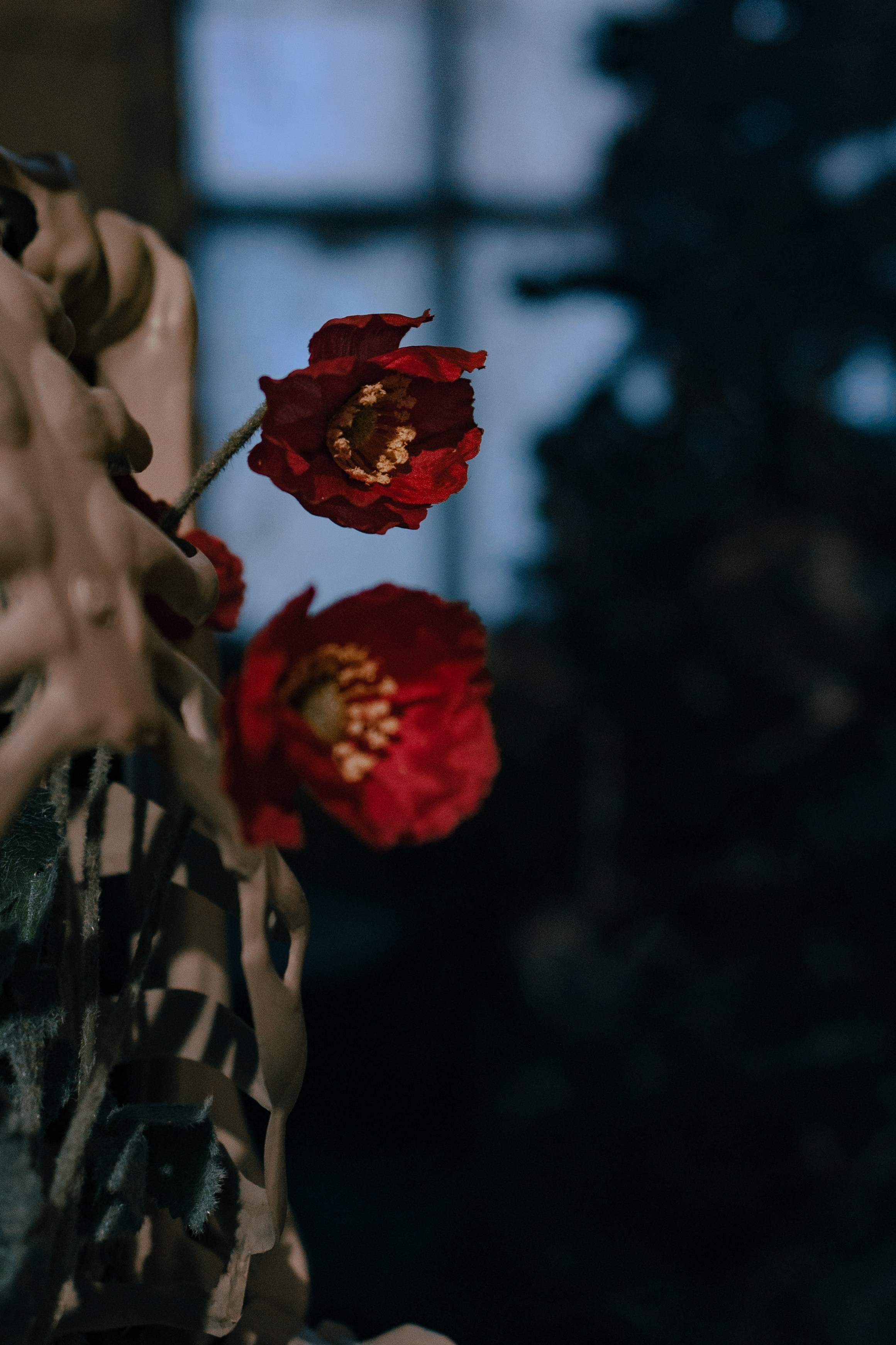 Тайны старого замка