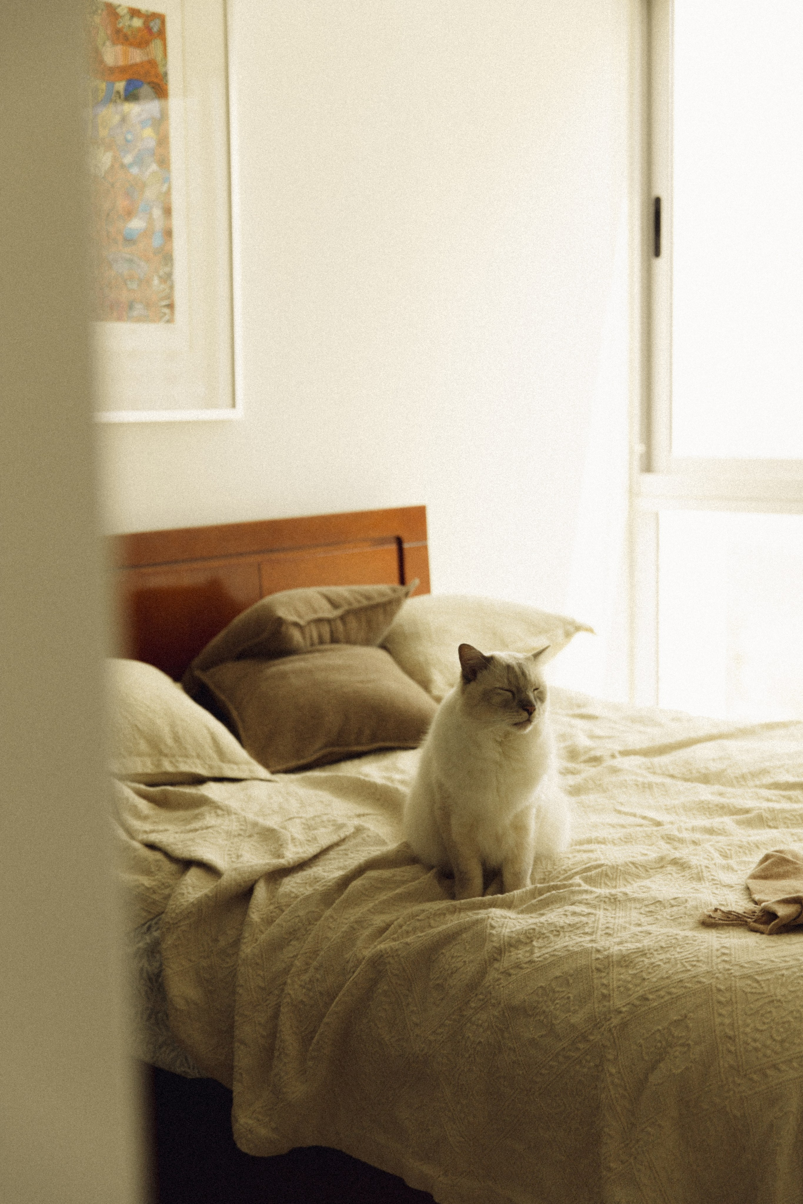 Briana+Fran. Портретный фотограф / Панама / Анастасия Елизарова