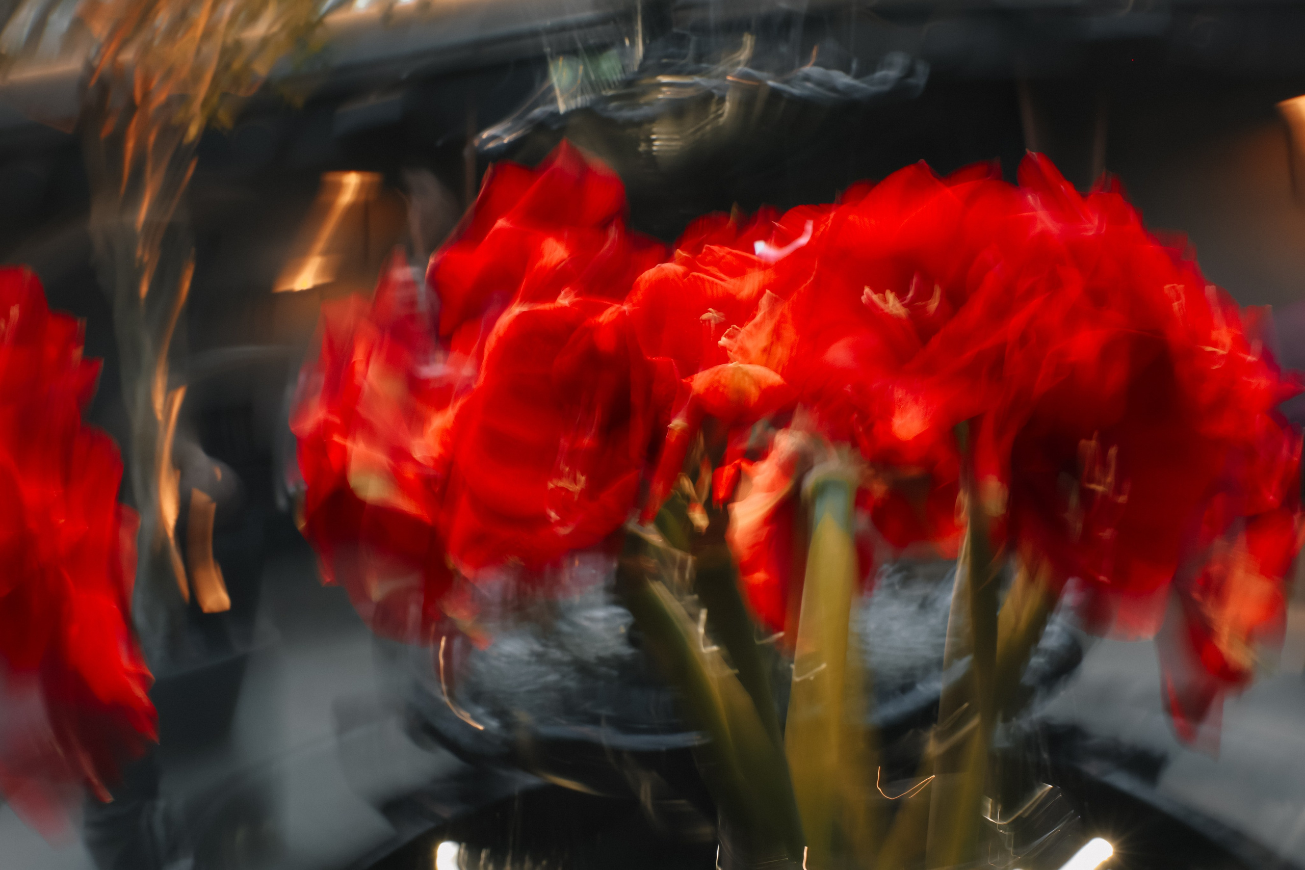 DENIS & ELIZAVETA Барвиха. Kharchenkotatianaweddingphoto