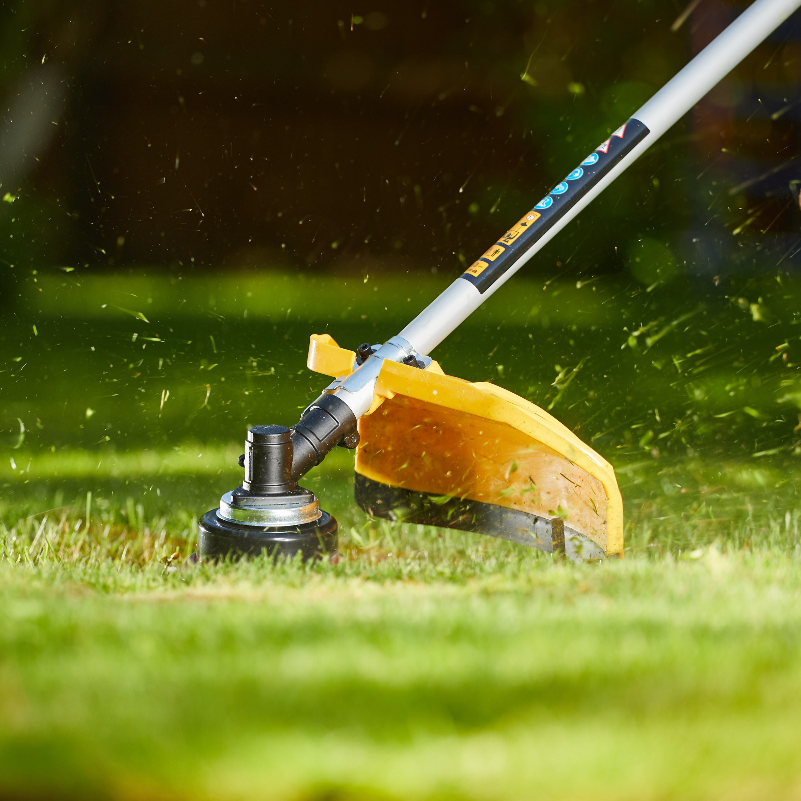 Рекламная фотография. Kushlis photo