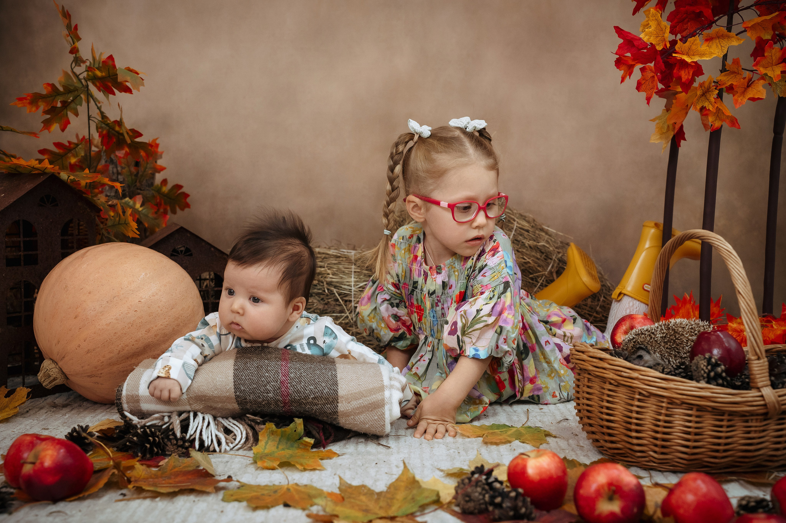 Ёжик. Фотограф Казакова Анастасия