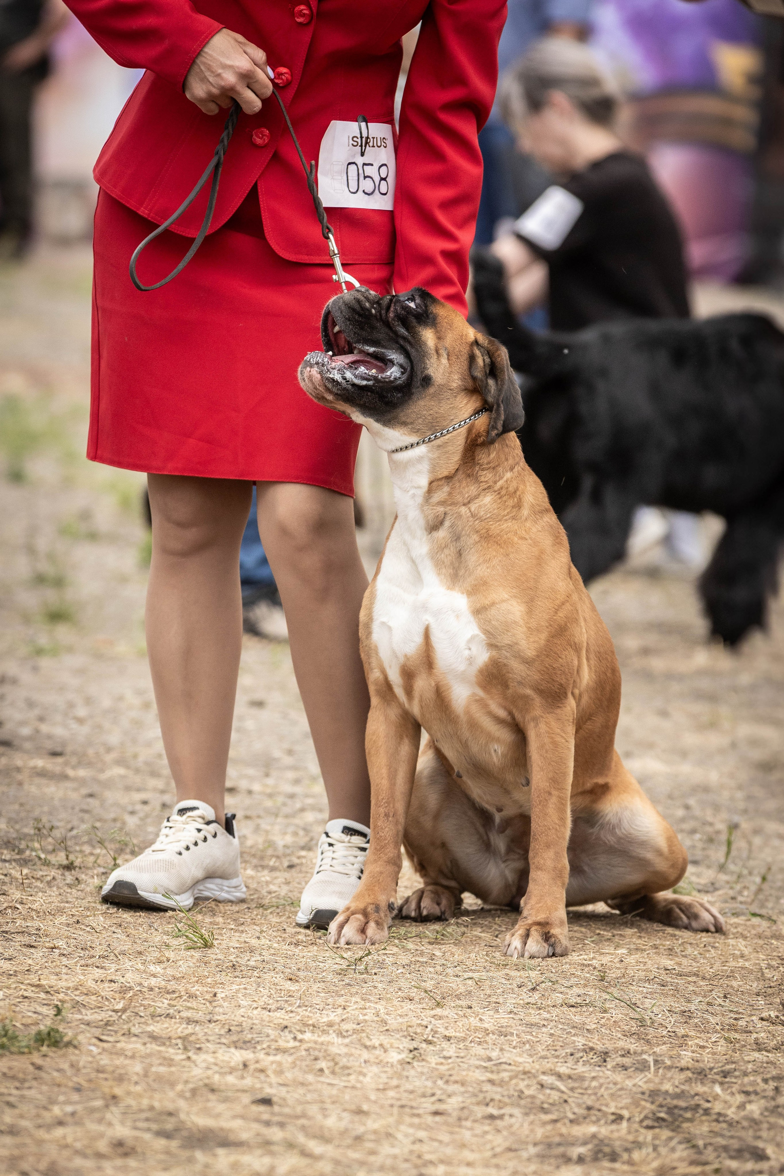 Репортаж (фото с выставок). Фотограф-АниМалист Анна Абрамова