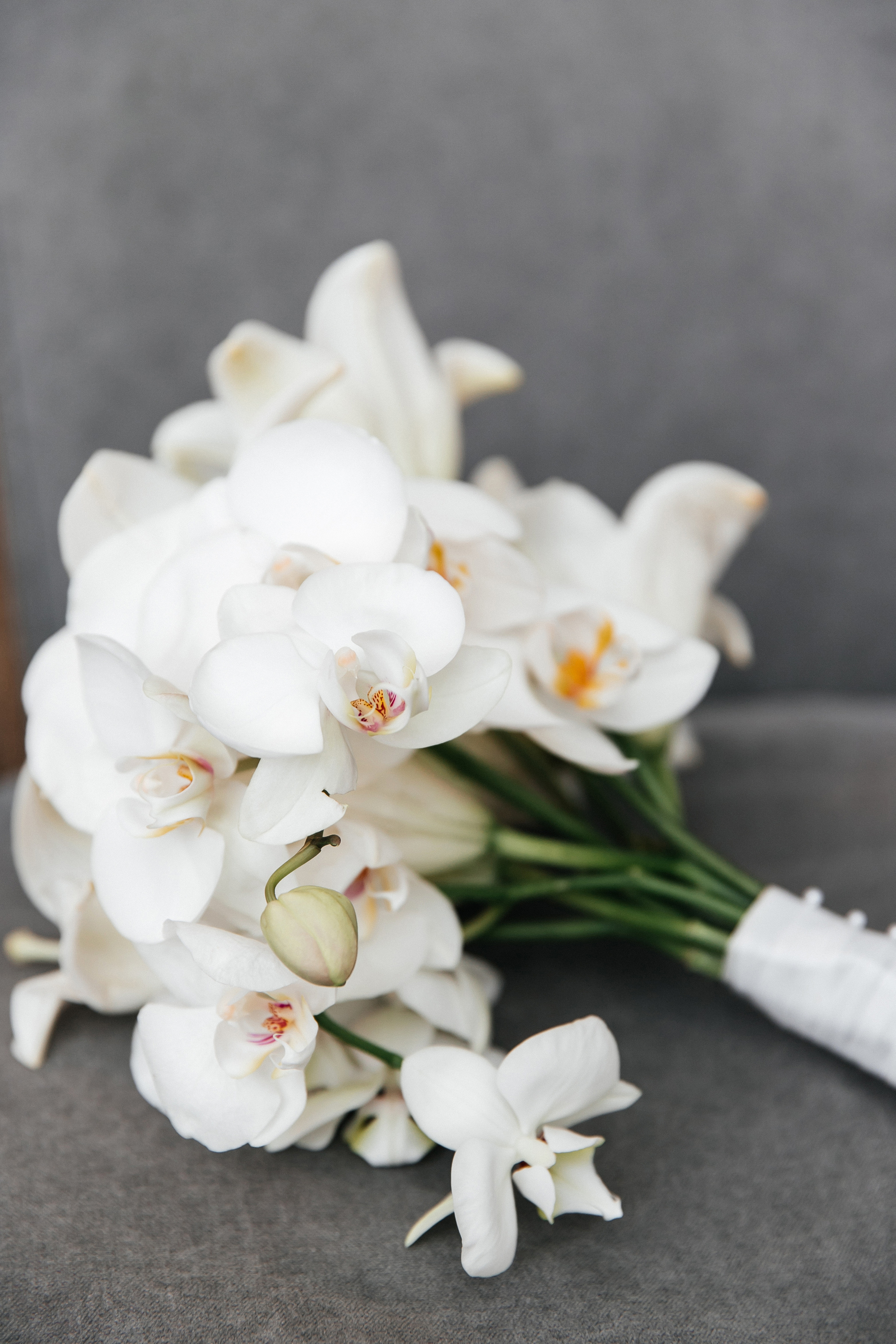 Оксана. Утро невесты. Свадебный фотограф и видеограф Когай Дмитрий и Юлия