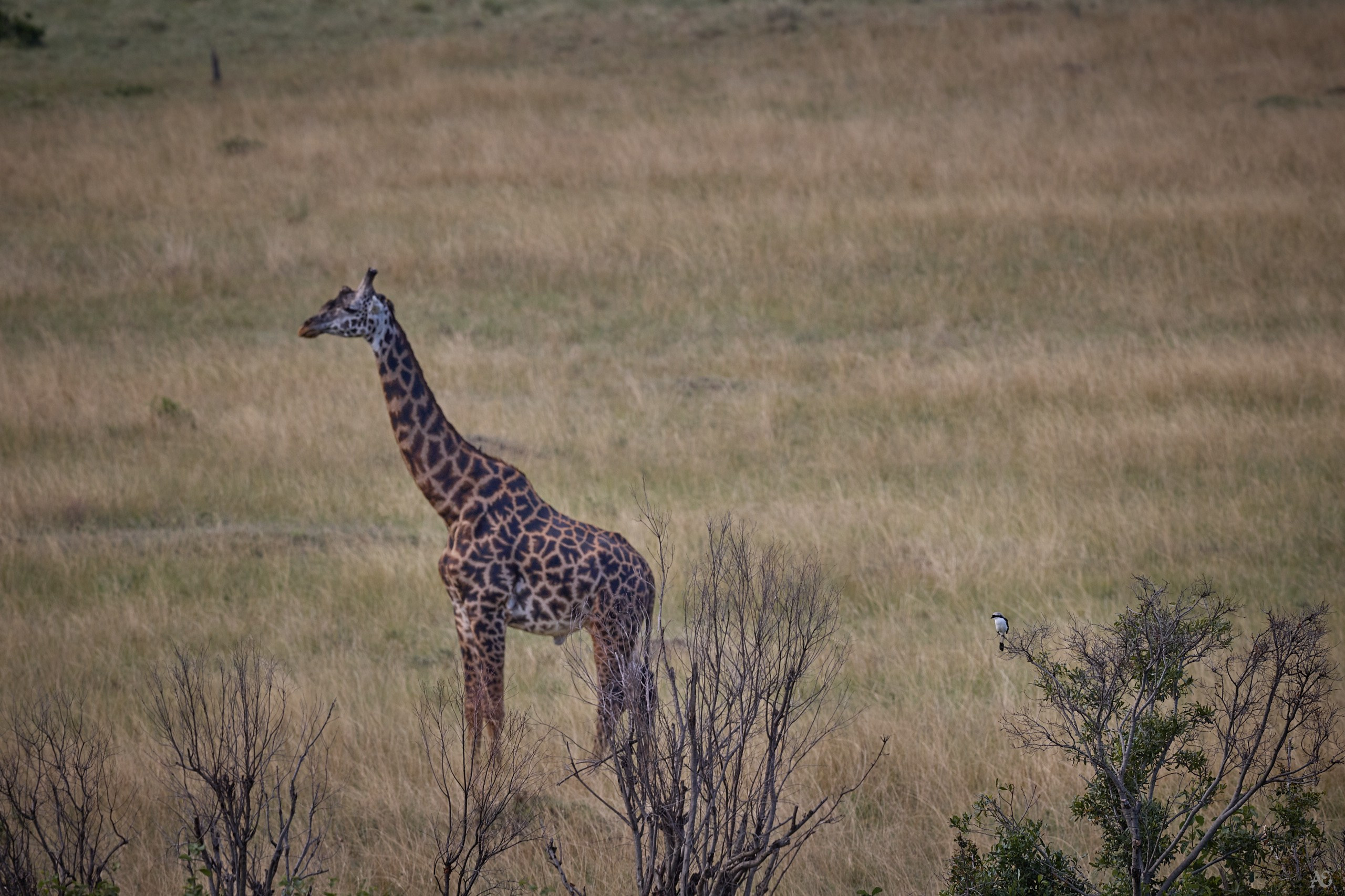 Что там интересного?