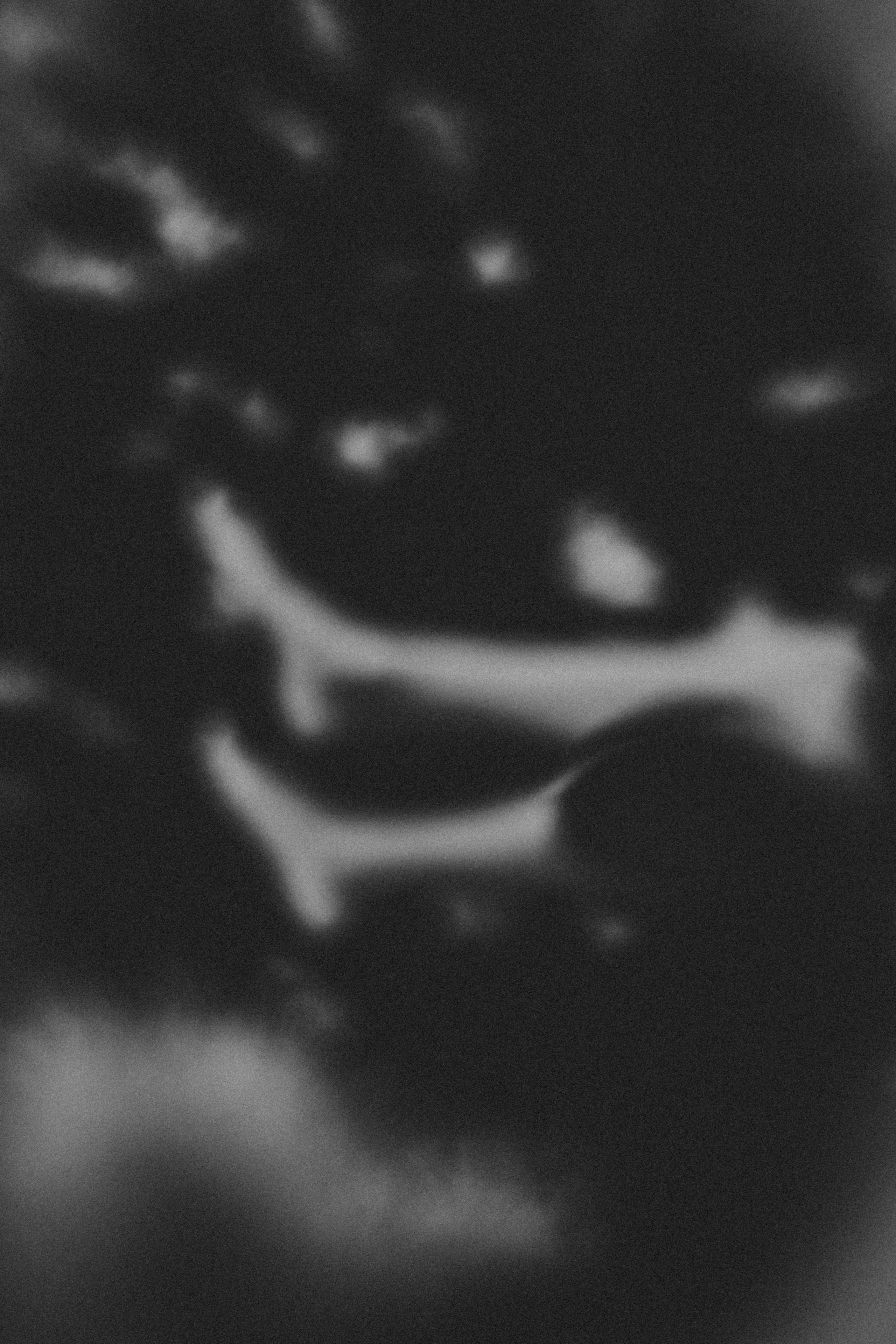 Хтонь. Юля. Фотограф в Нижнем Новгороде