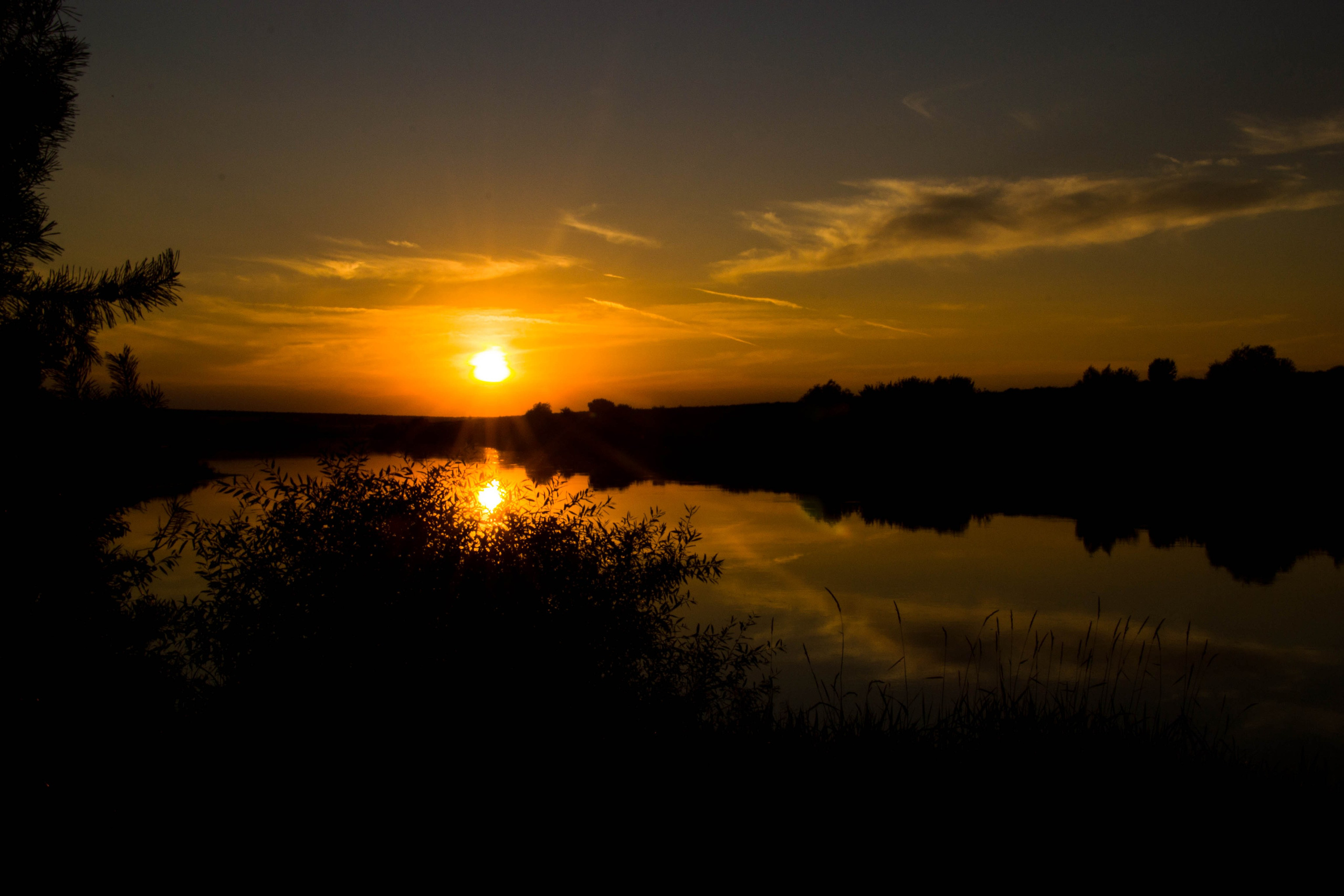 Дон. Главная