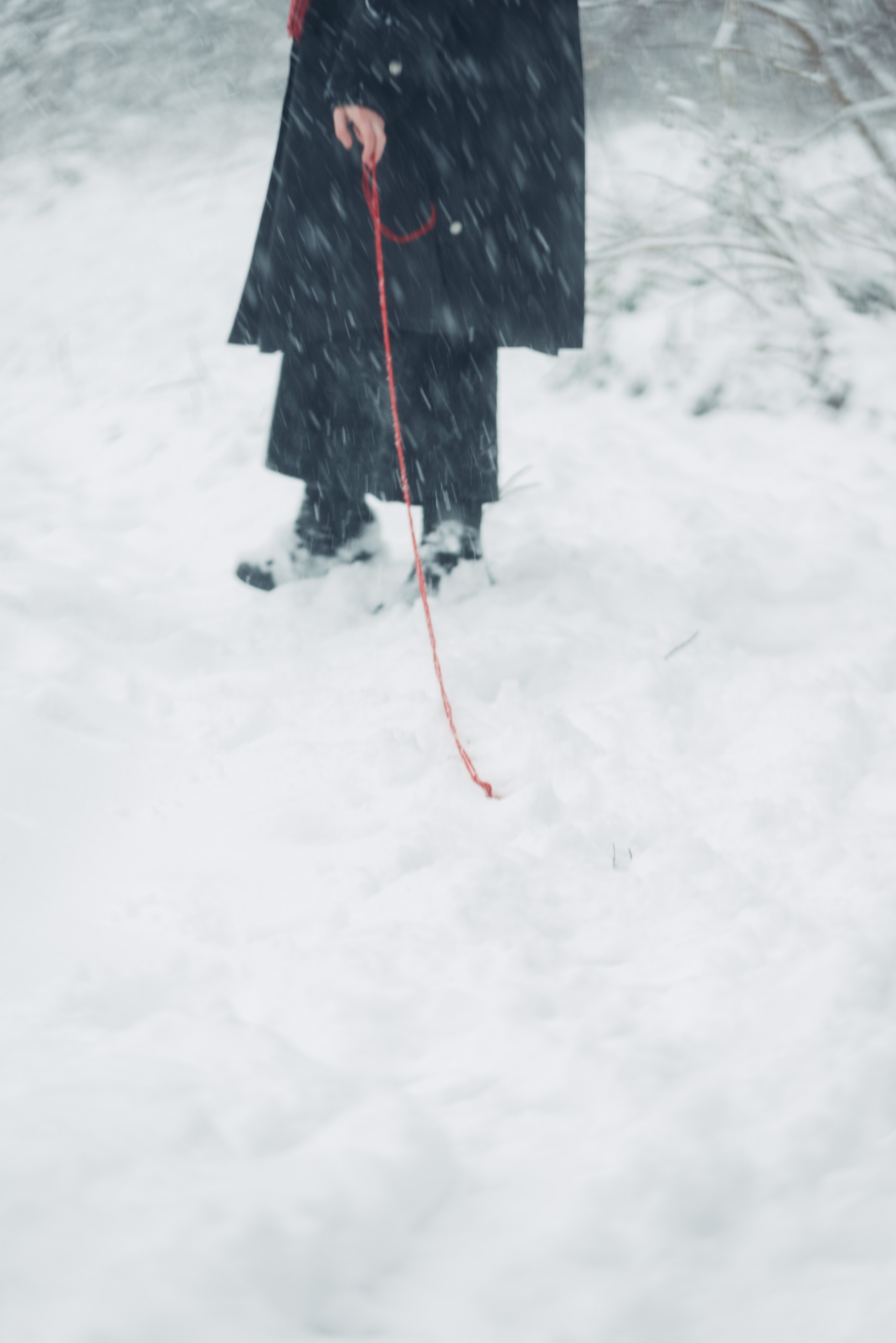 Снег и Красный. Главная