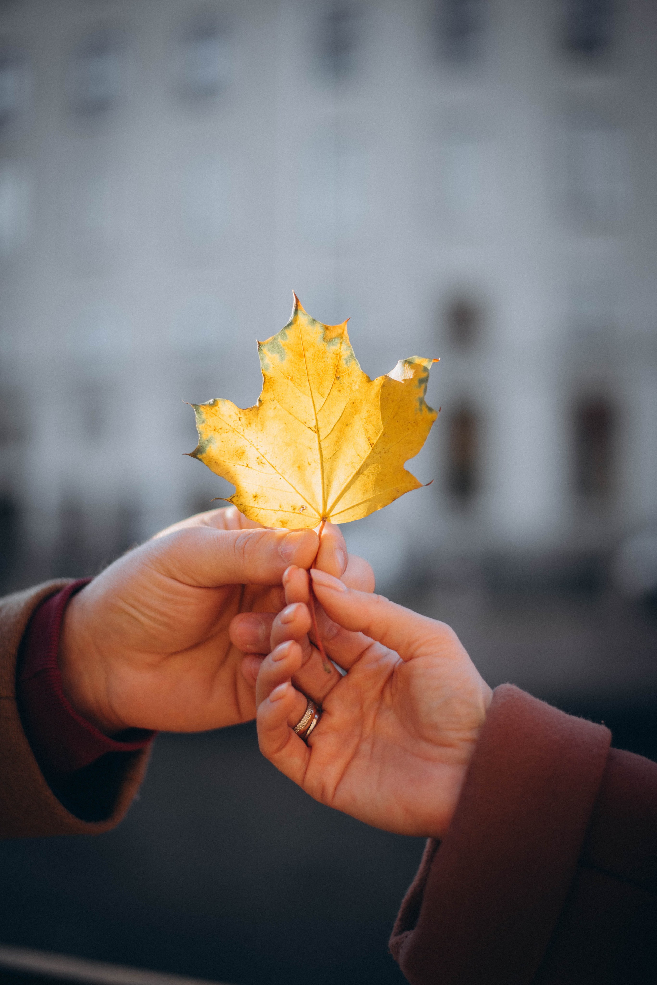 История про двоих. Леся Власова. Семейный Lifestyle фотограф в Москве