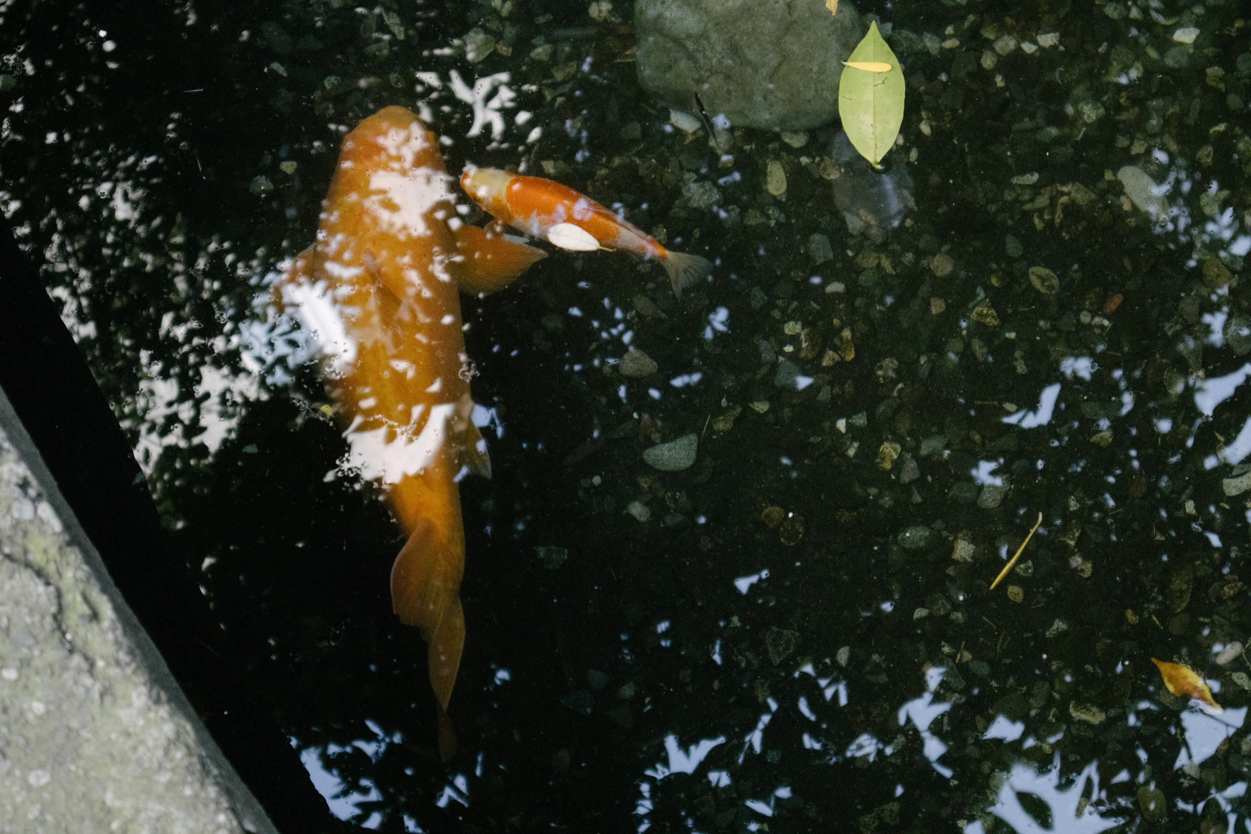 Craft market in Batumi