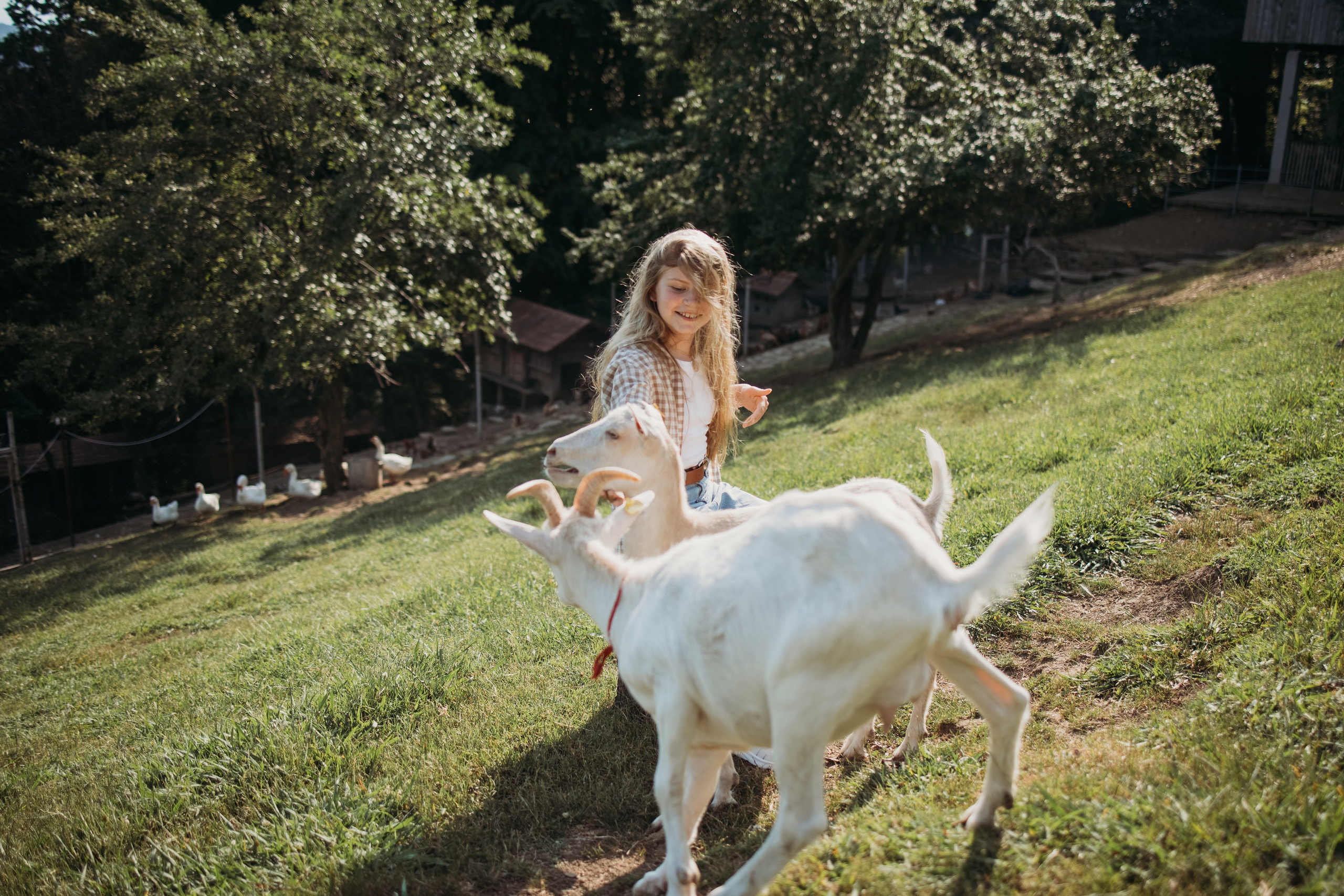 Ферма Экзархо. Фотограф Сочи Татьяна Зорина