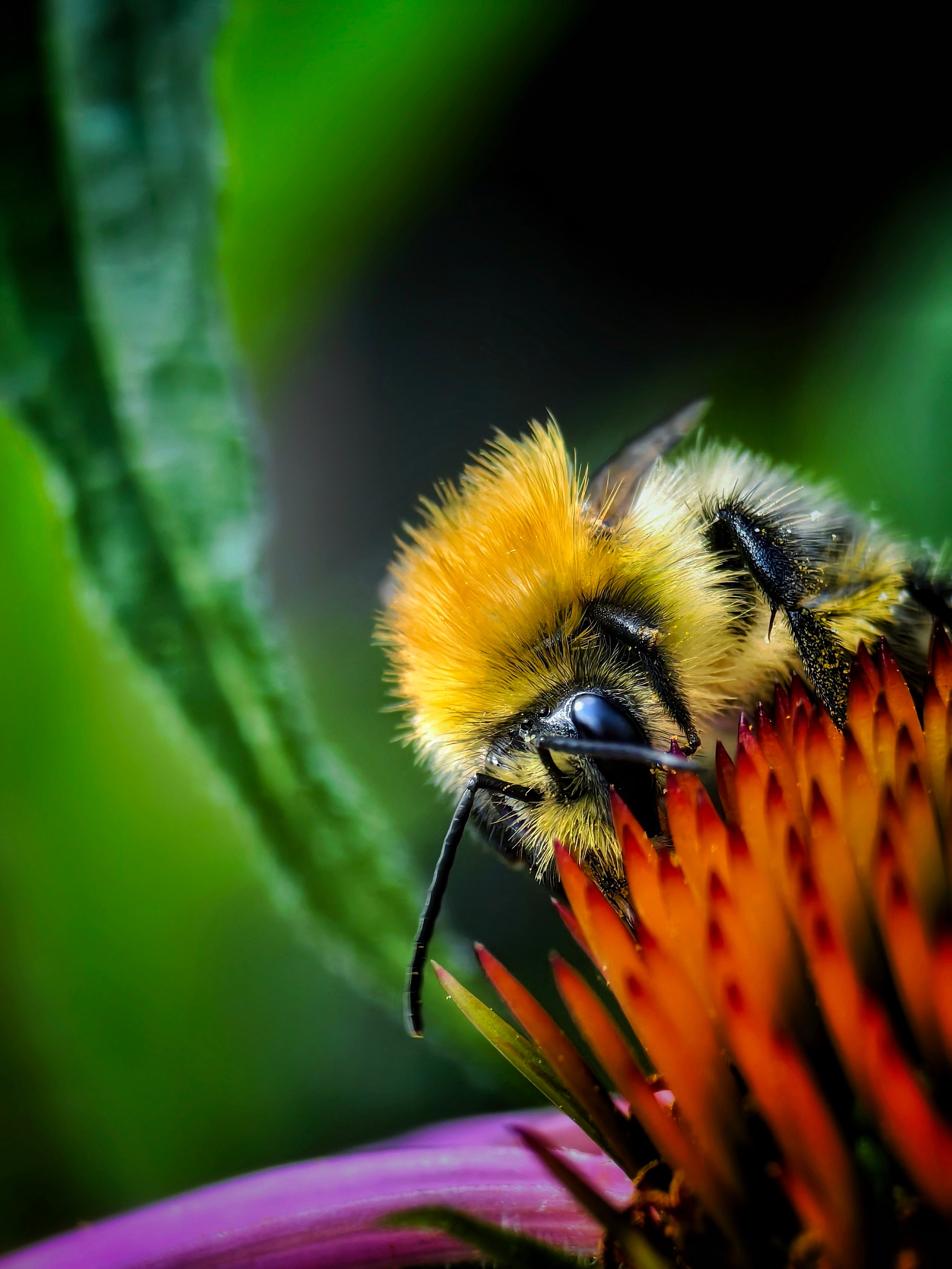 Большое в малом