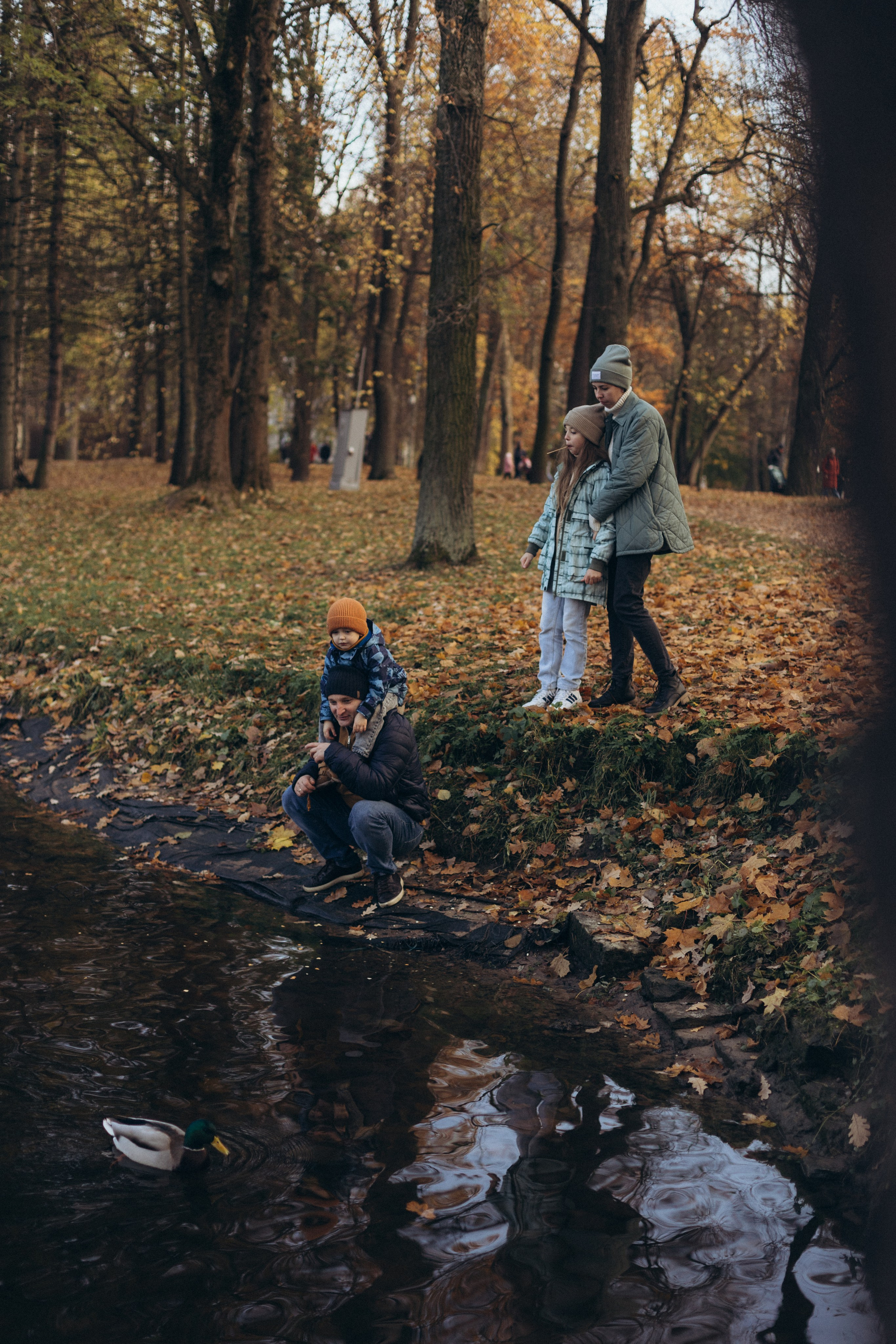 Золотая осень. Фотограф из Петербурга