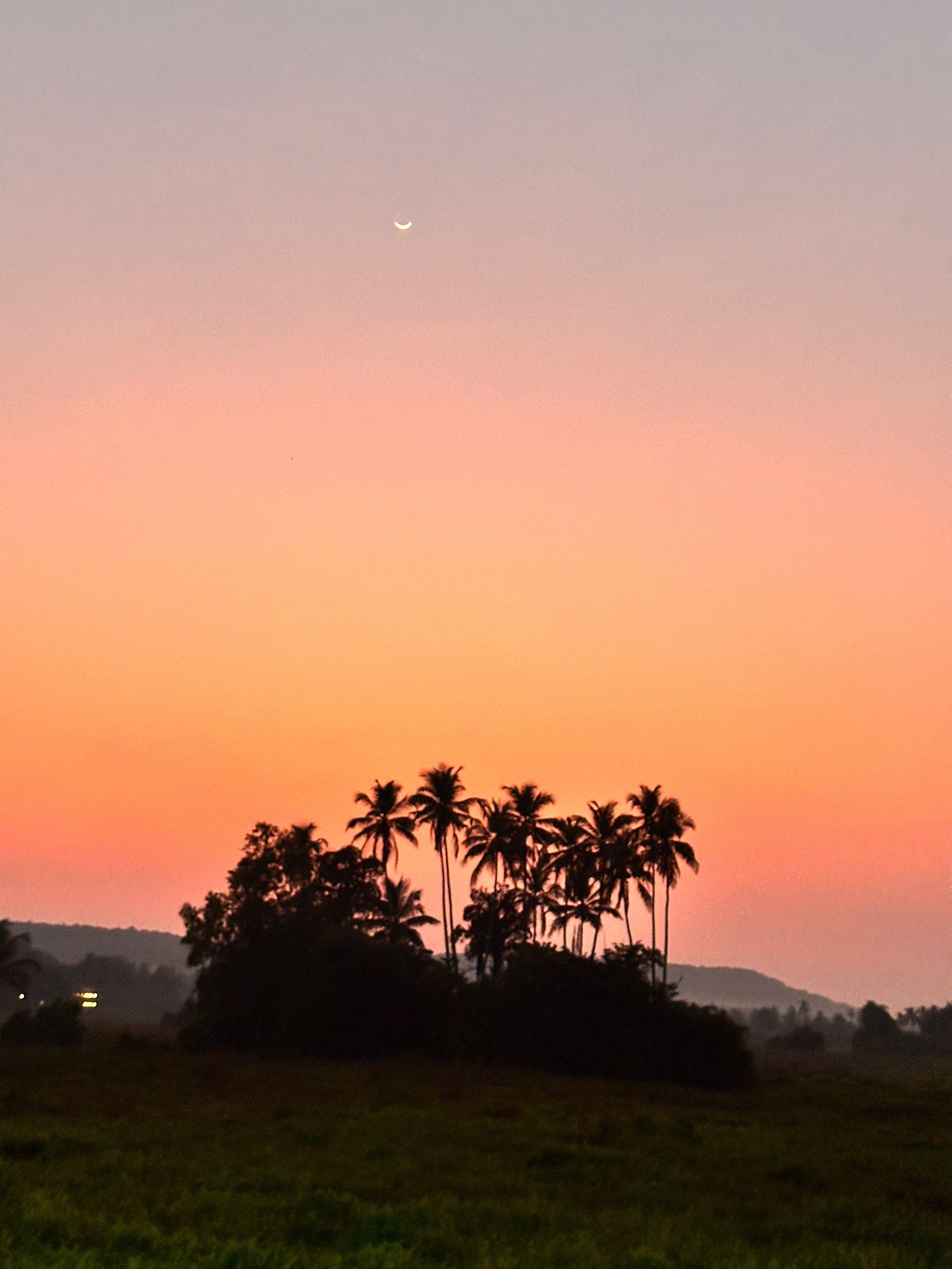 Ретрит в Гоа. Женские даосские практики