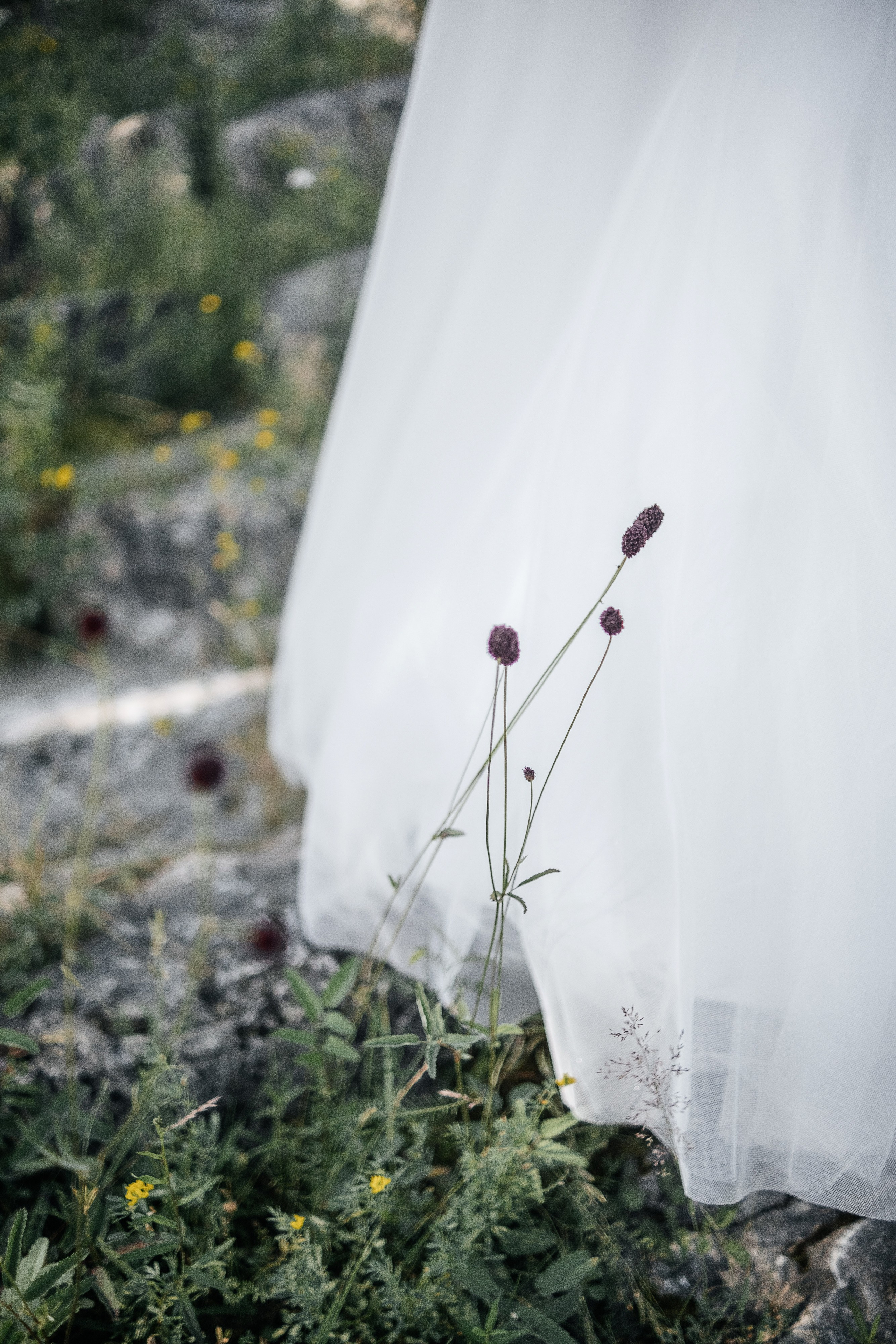 Все по року. Свадебный и семейный фотограф Барнаул Рубцовск Бийск Алтайский край