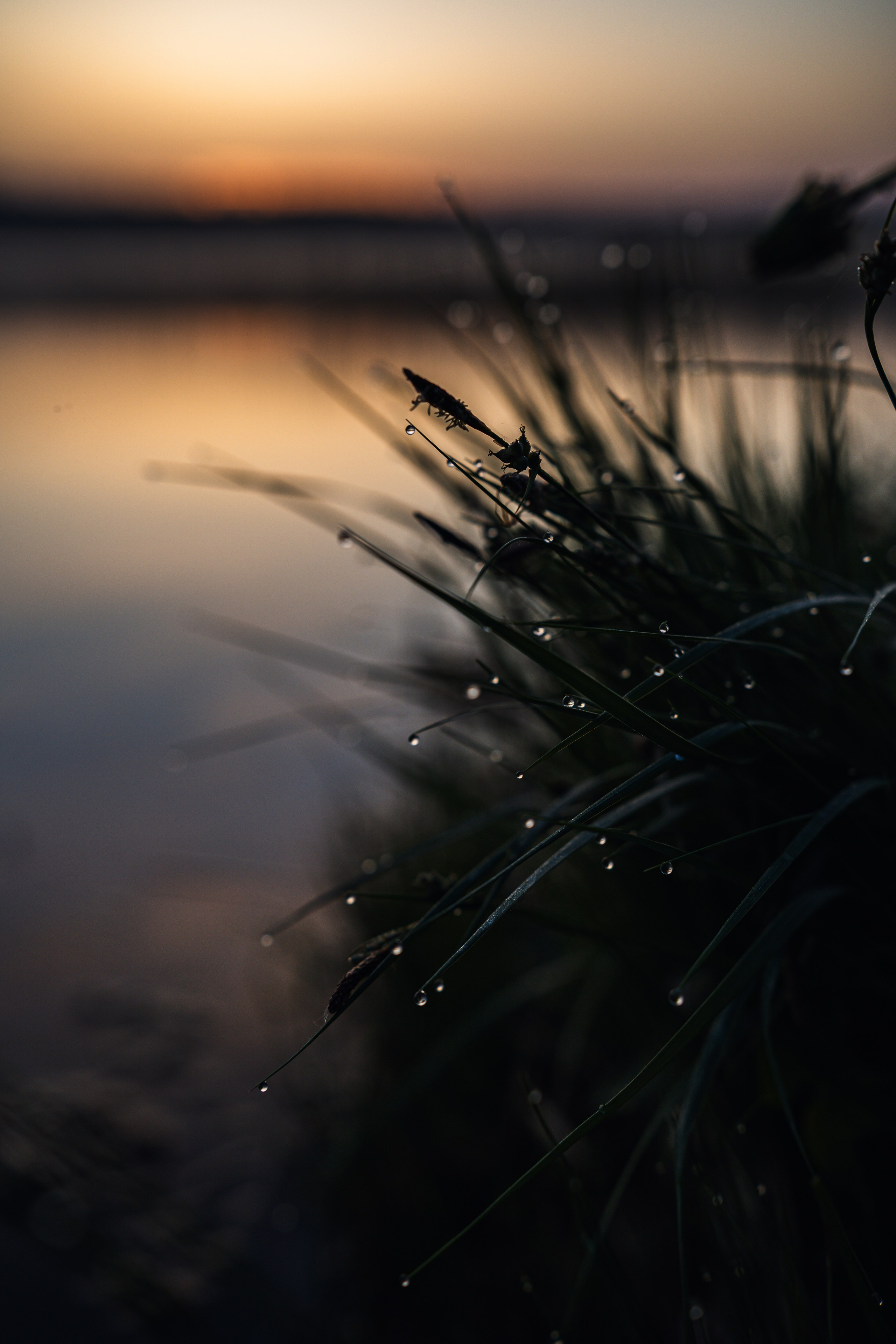 Встреча лета на озере Донцо. Предметный фотограф Санкт-Петербург