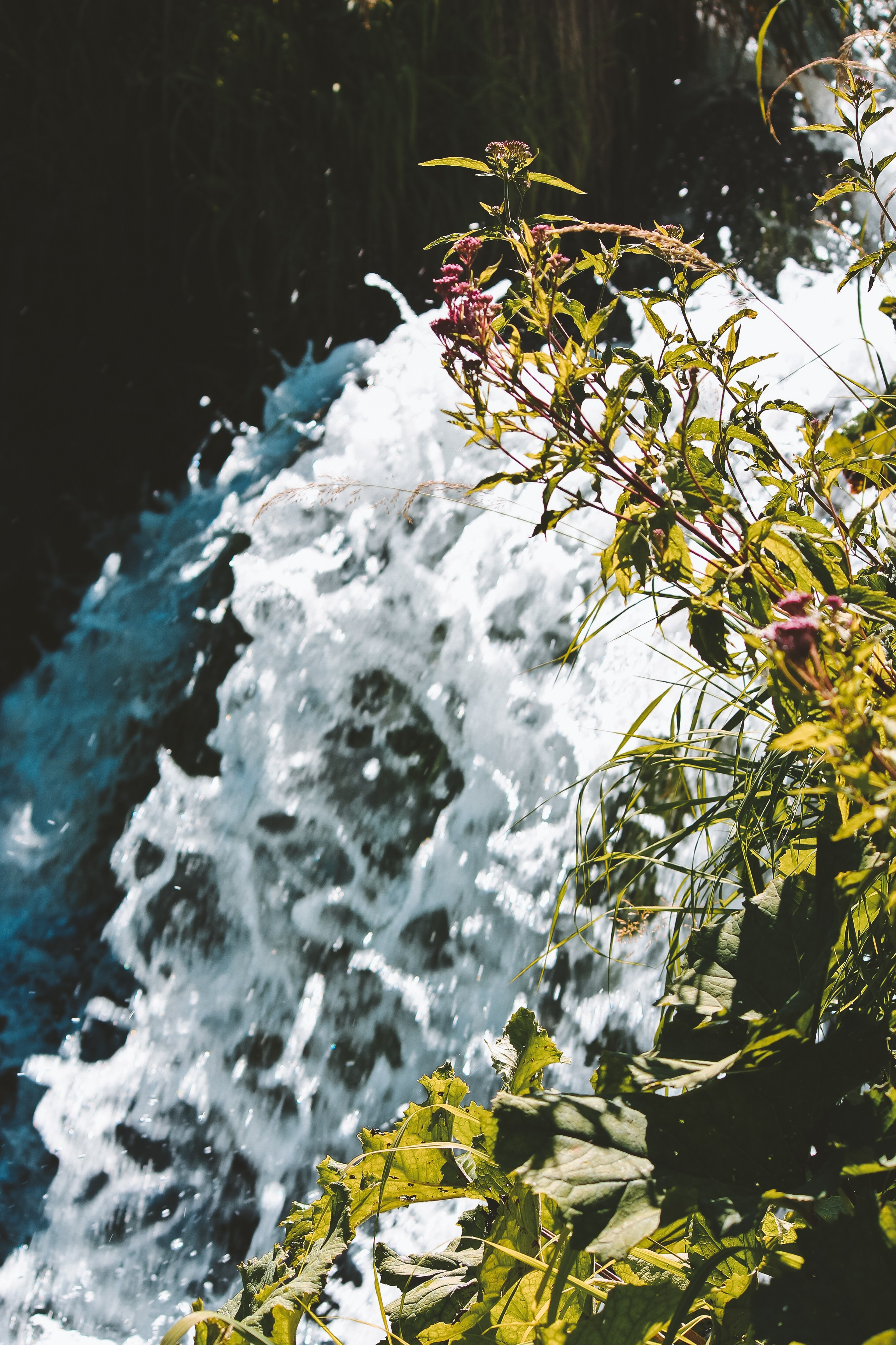 Хорватия: Плитвицкие озера. Дарья Письменюк / Darya Leitstern — фотограф, музыкант, журналист, путешественник