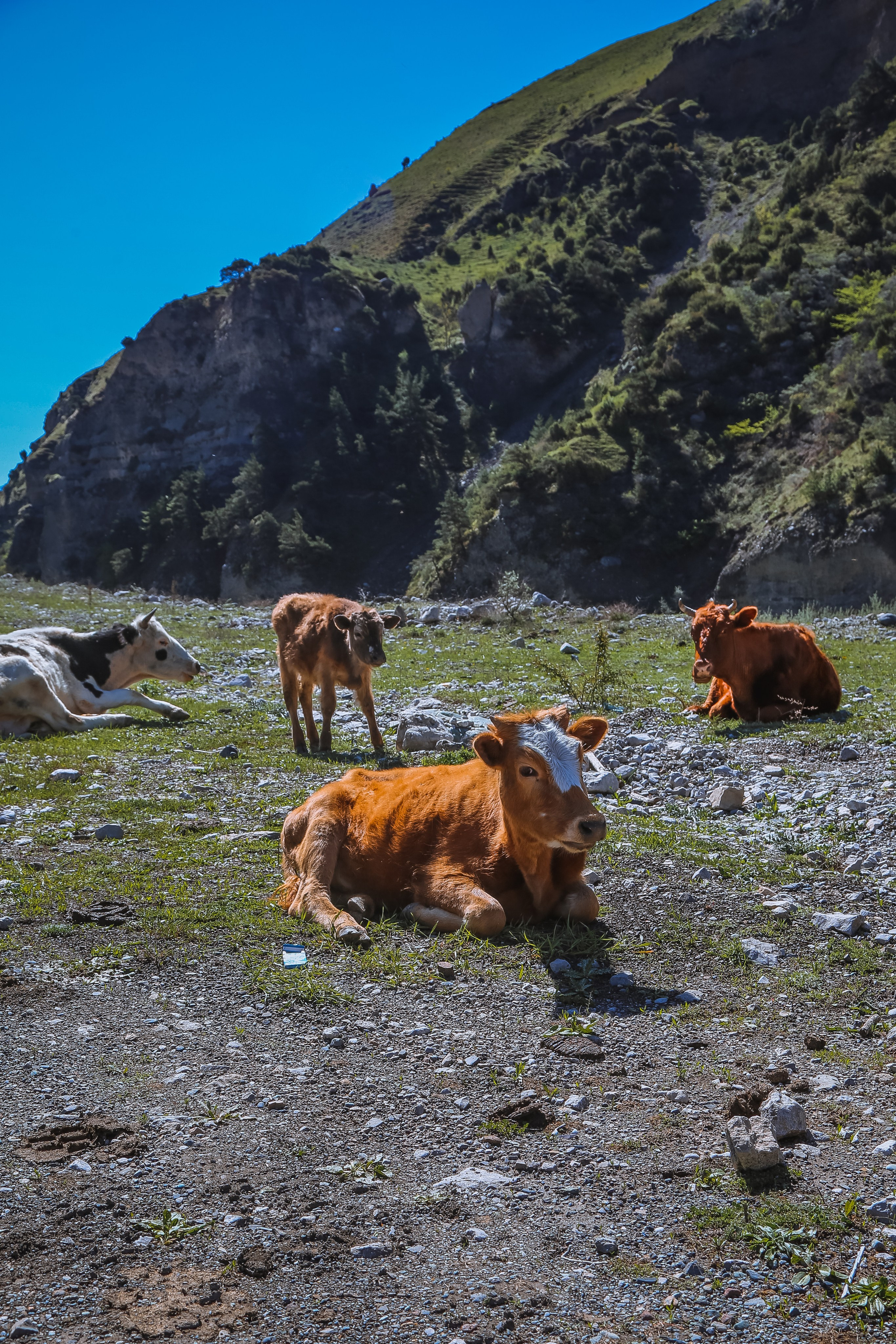Кавказ: Северная Осетия. Дарья Письменюк / Darya Leitstern — фотограф, музыкант, журналист, путешественник