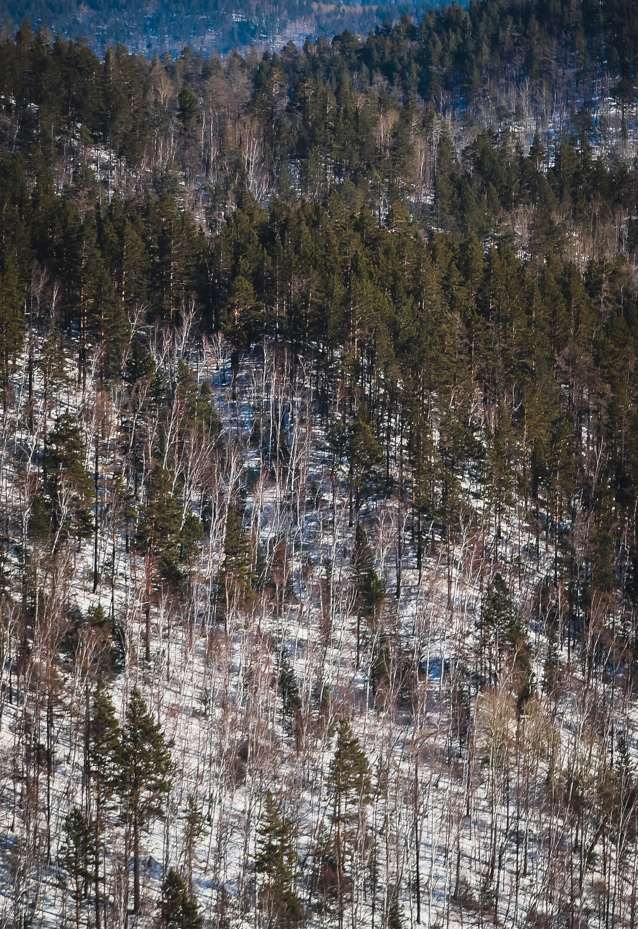 Байкал зимний: занимательная гляциология. Дарья Письменюк / Darya Leitstern — фотограф, музыкант, журналист, путешественник