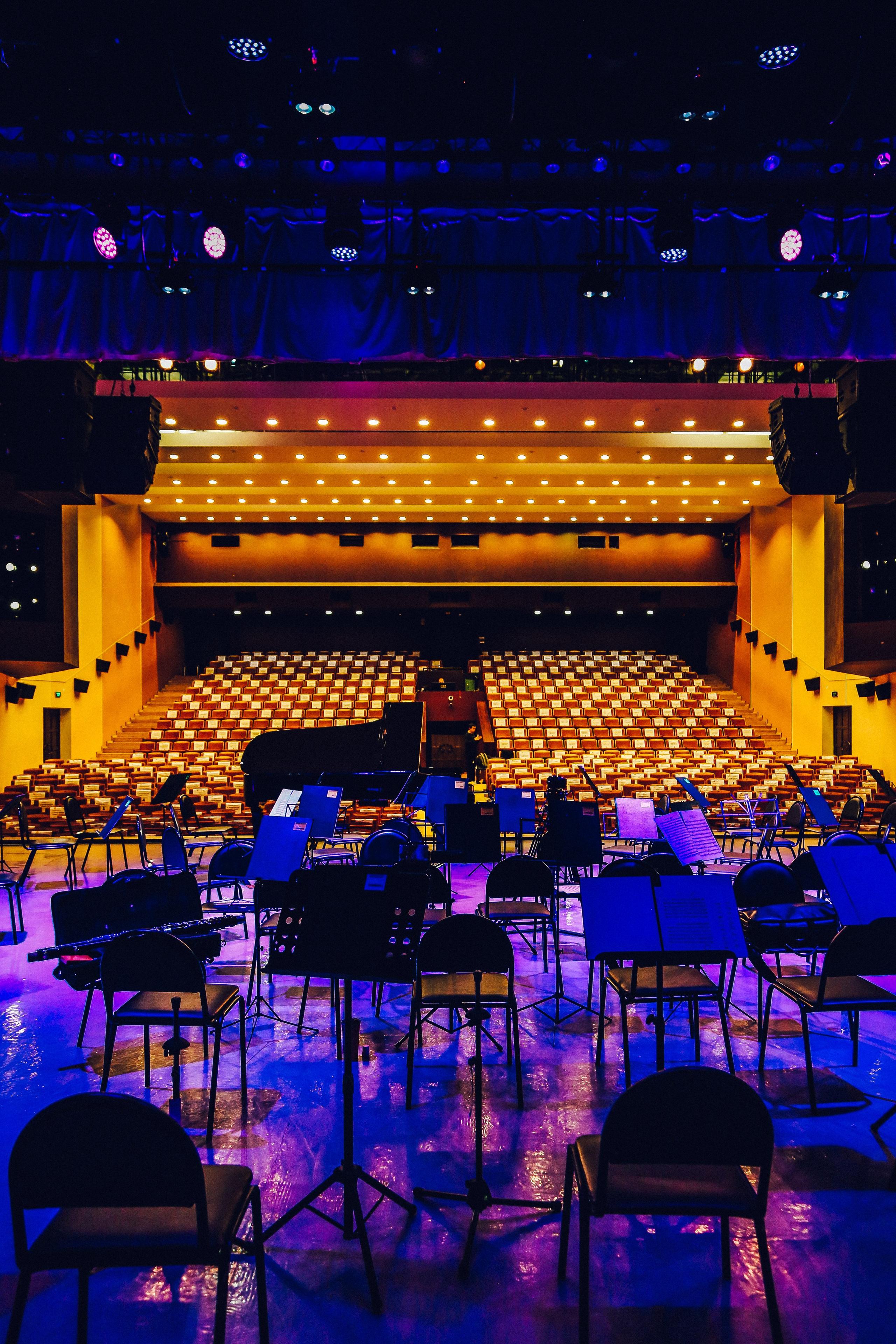 Концерт музыки Бетховена в Калужской филармонии. Дарья Письменюк / Darya Leitstern — фотограф, музыкант, журналист, путешественник