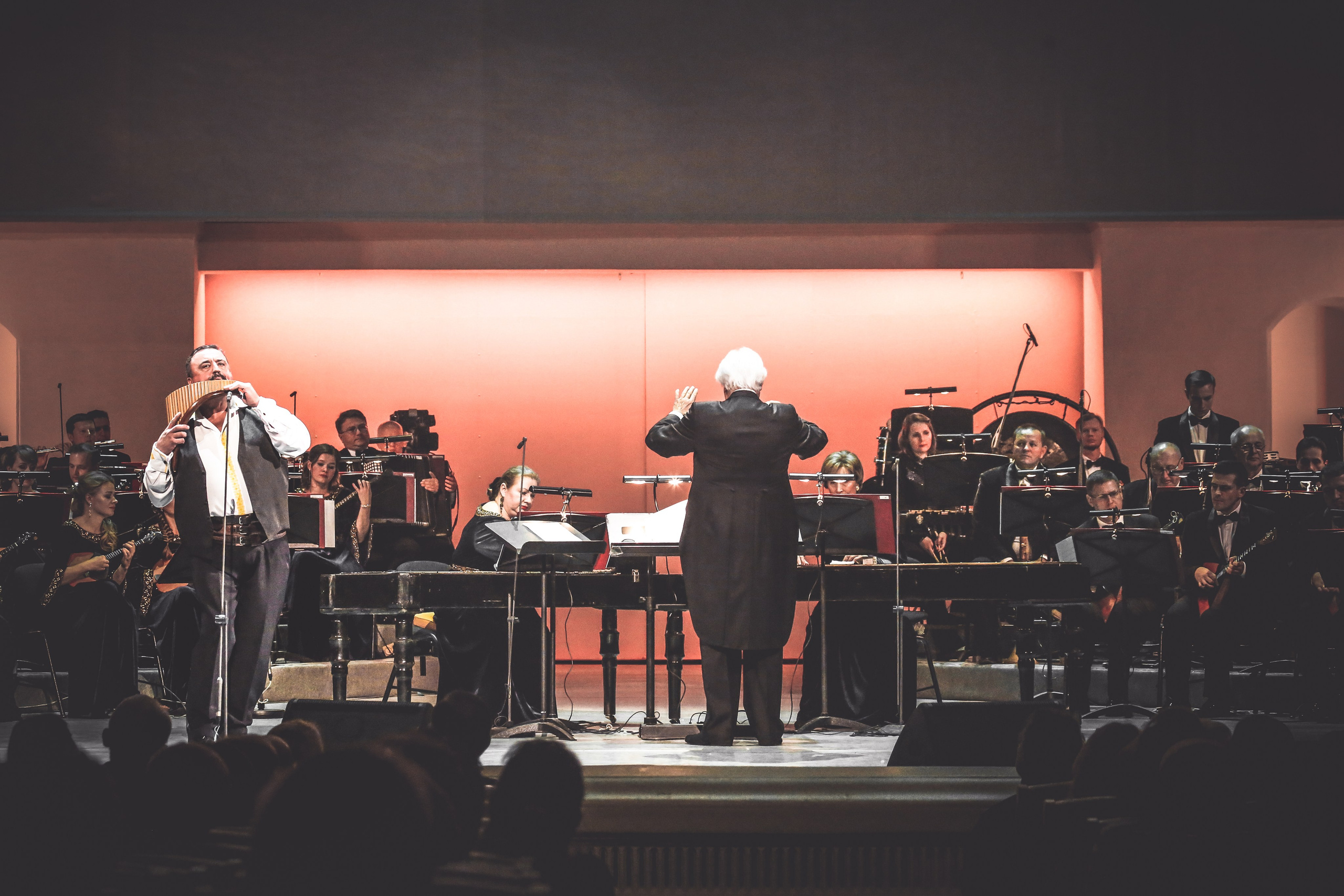 Музыкальные крылья России: концерт к 100-летию Осиповского оркестра. Дарья Письменюк / Darya Leitstern — фотограф, музыкант, журналист, путешественник