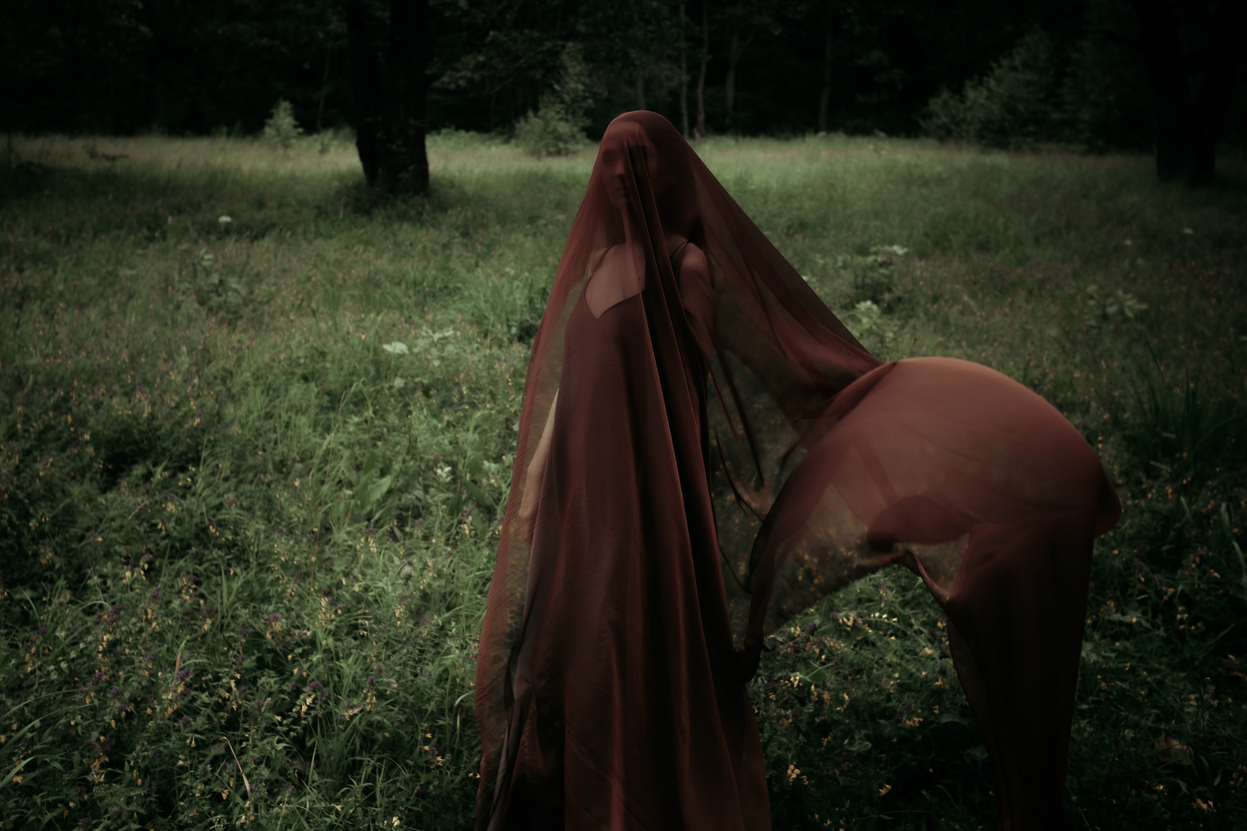 Условия и прайс. Фотограф Алина Филатова