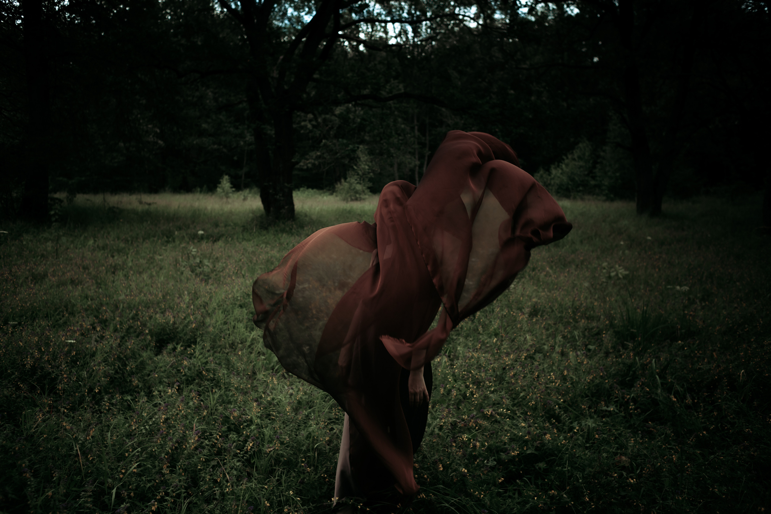 Фотограф Алина Филатова