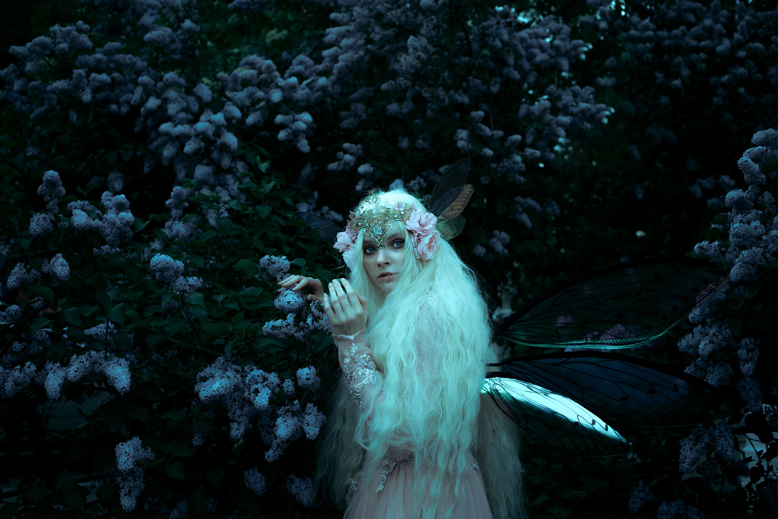 Условия и прайс. Фотограф Алина Филатова