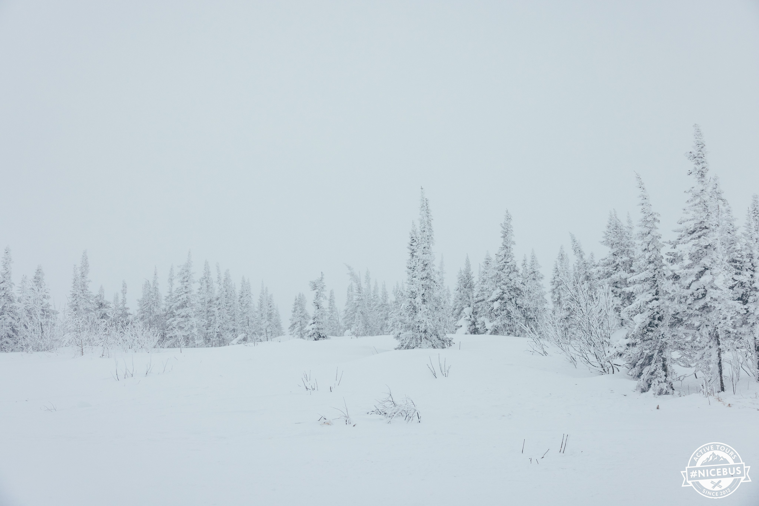 Шерегеш. Фотограф в Красноярске Евдокимова Анастасия