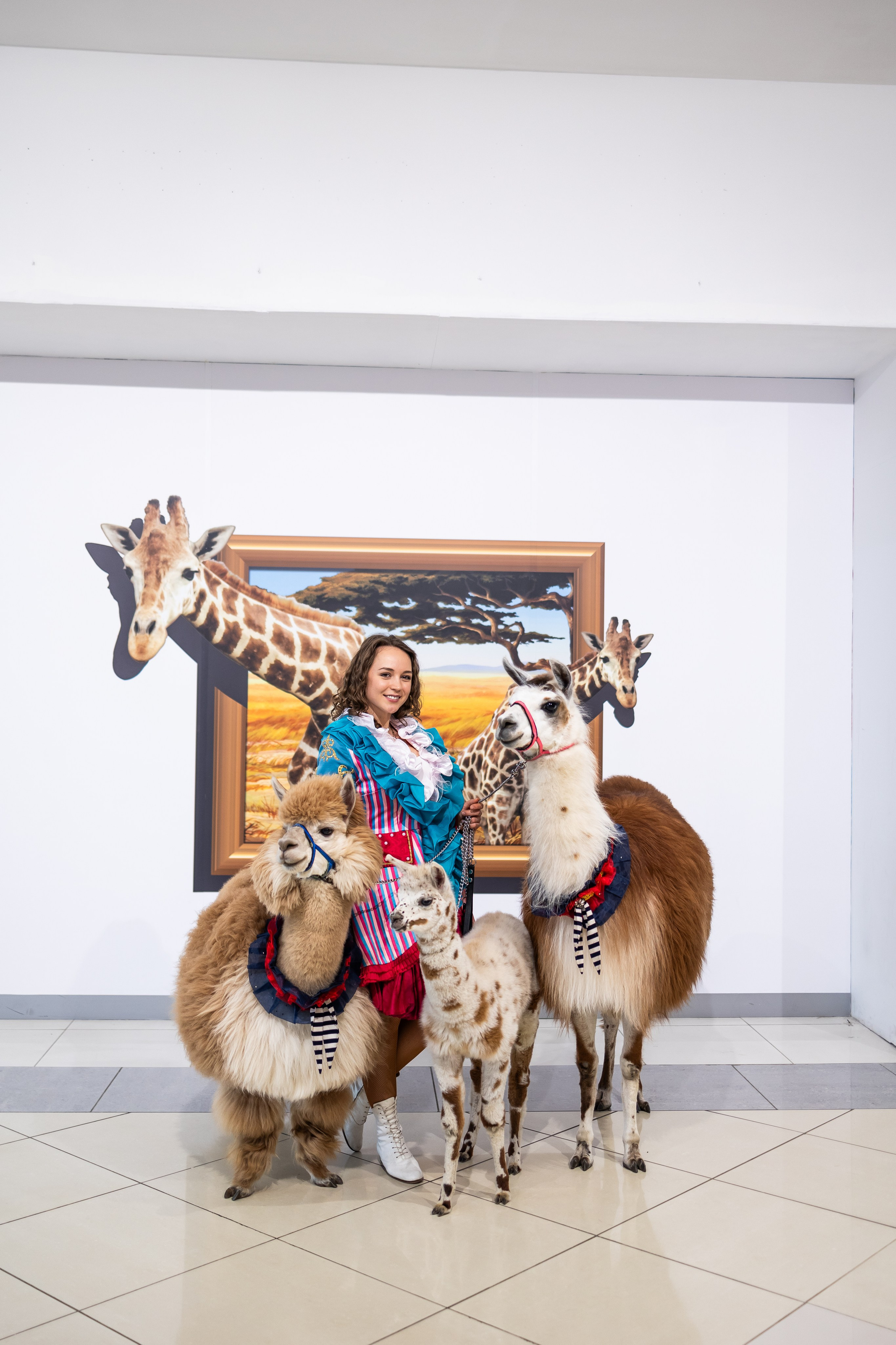 Торговый центр XL, праздник, выходные в ХЛ. Фото и видео Москва, Московский. Свадебный фотограф, видеограф, фотосессии, видеосъемка