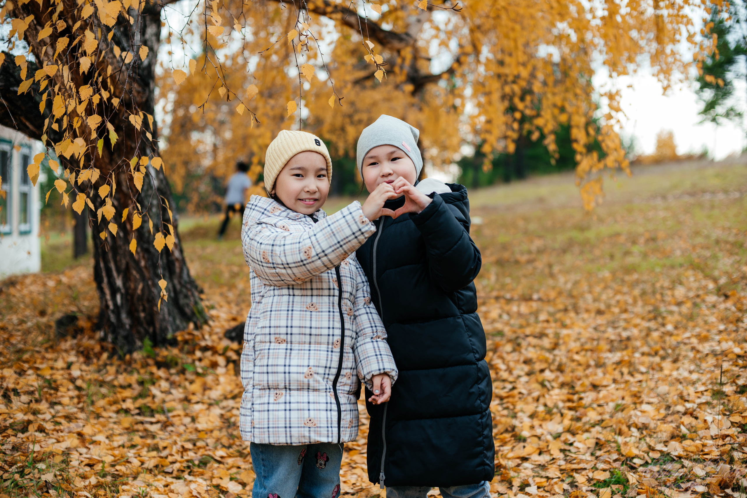 Берёзка на Верхней Березовке. Фотограф Эллина Дар г. Улан-Удэ