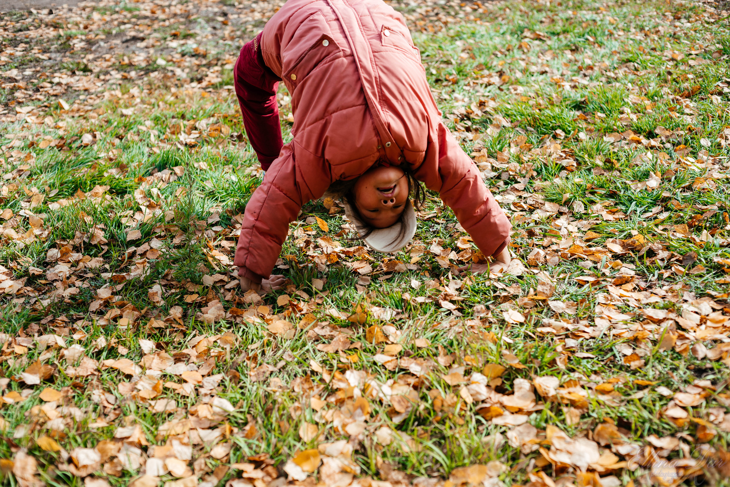 Берёзка на Верхней Березовке. Фотограф Эллина Дар г. Улан-Удэ