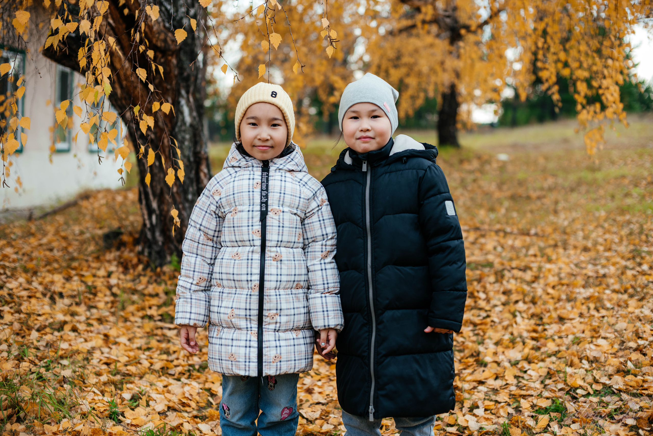 Берёзка на Верхней Березовке. Фотограф Эллина Дар г. Улан-Удэ