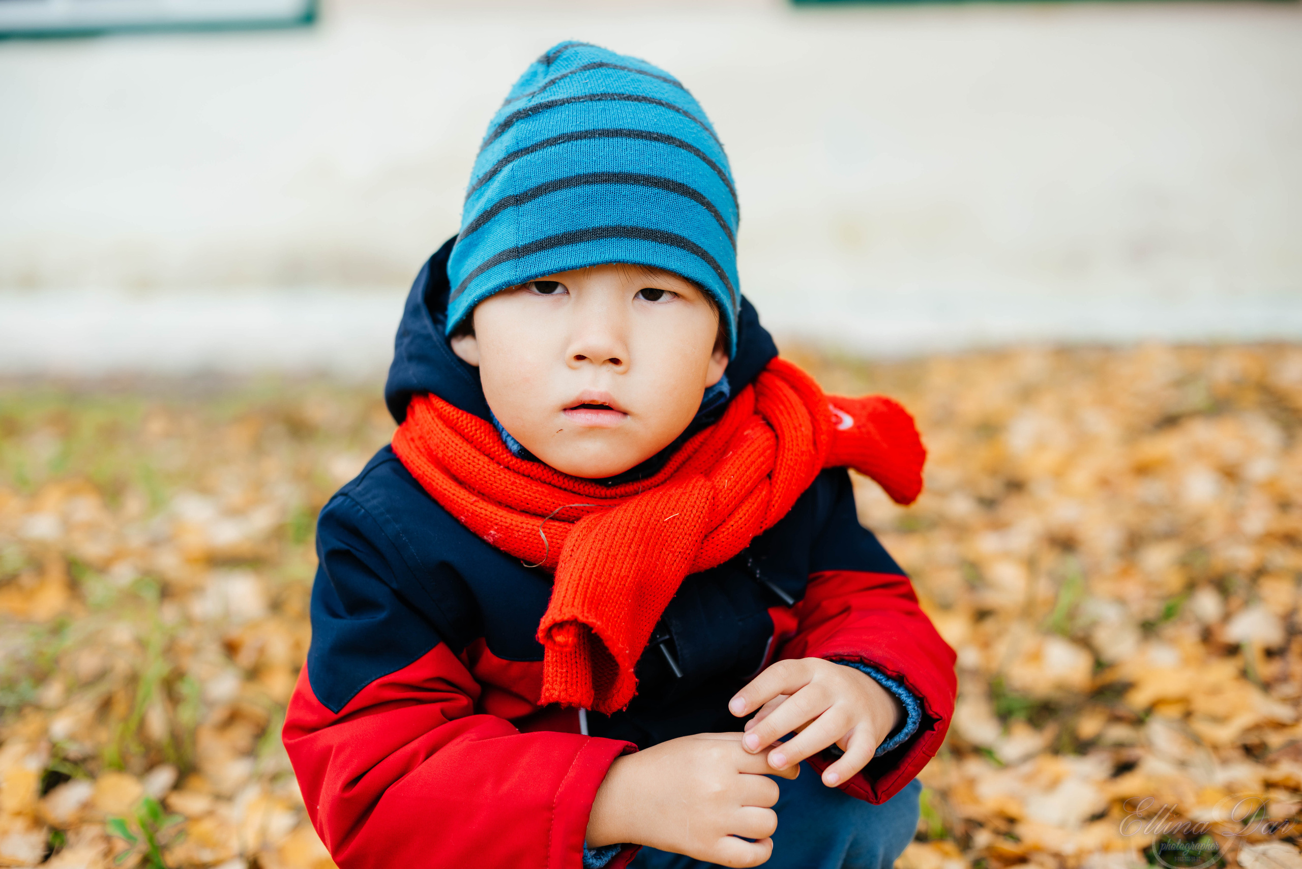 Берёзка на Верхней Березовке. Фотограф Эллина Дар г. Улан-Удэ