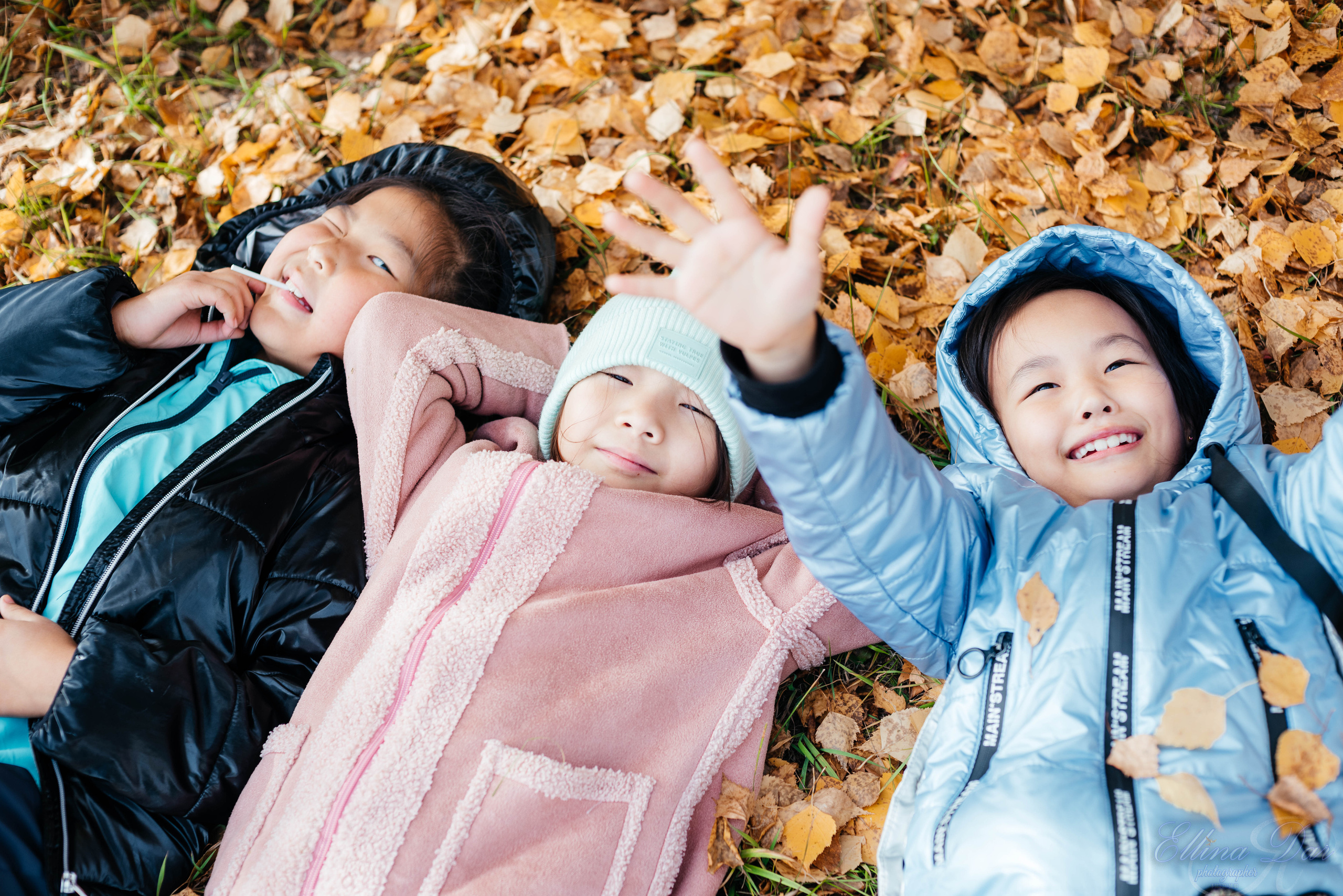 Берёзка на Верхней Березовке. Фотограф Эллина Дар г. Улан-Удэ