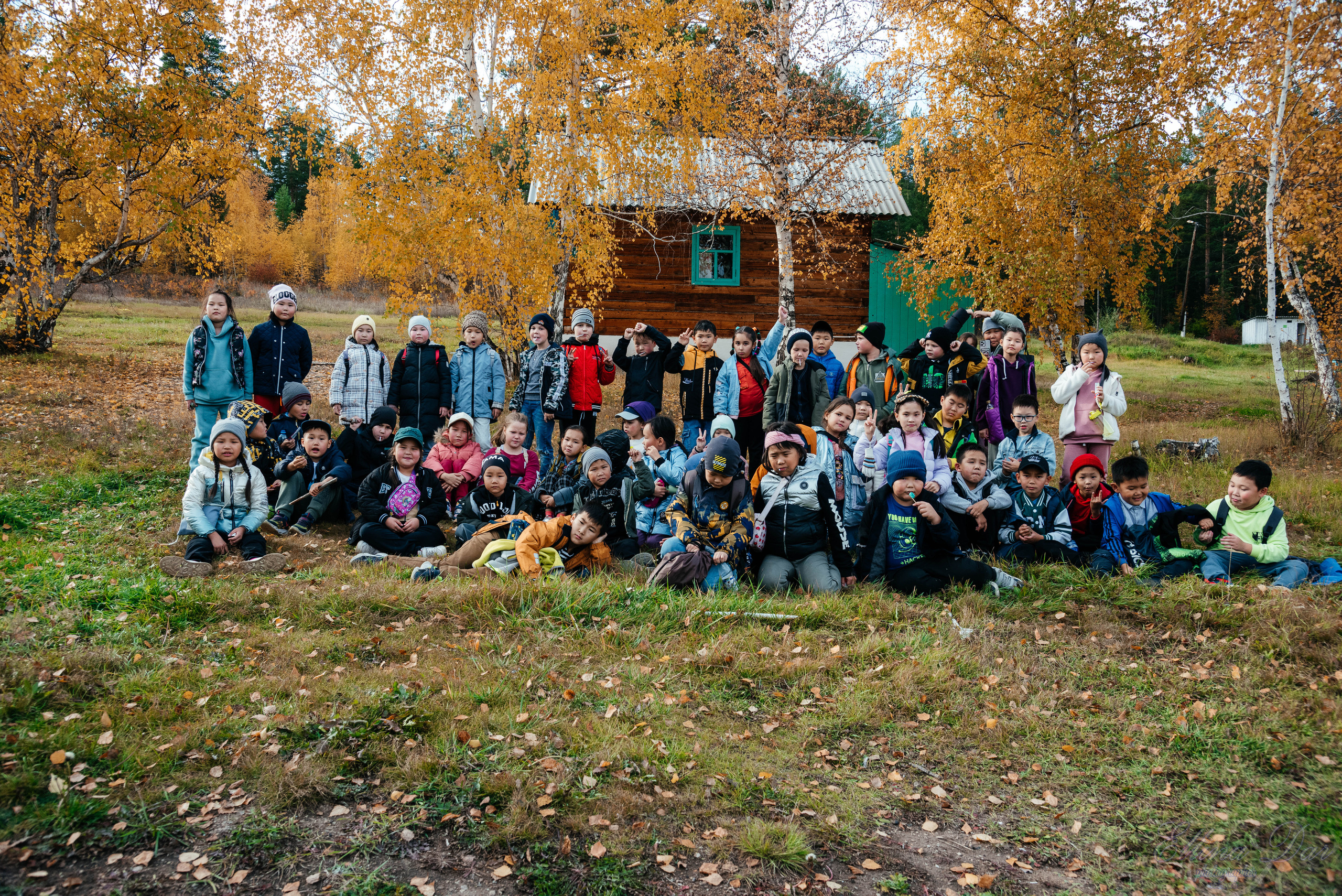 Берёзка на Верхней Березовке. Фотограф Эллина Дар г. Улан-Удэ