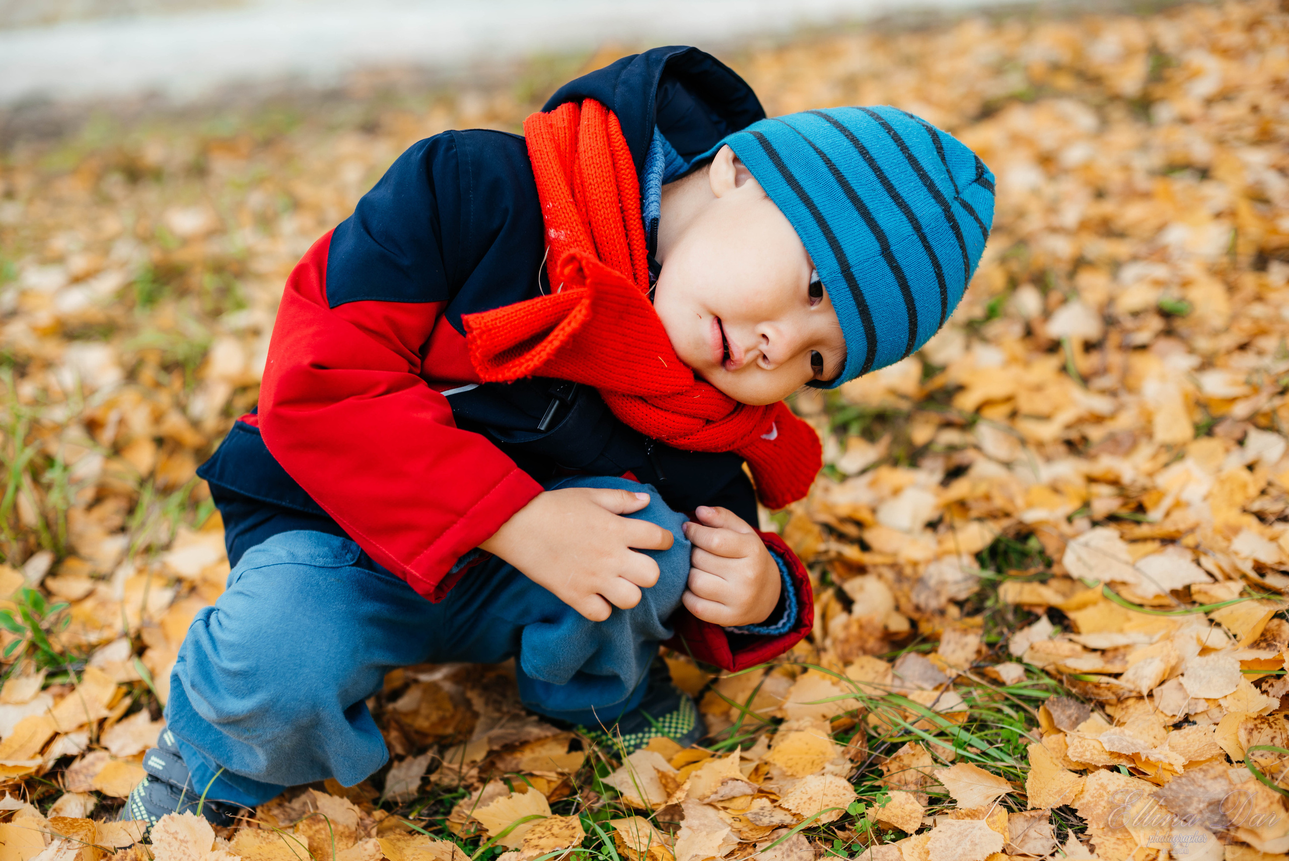 Берёзка на Верхней Березовке. Фотограф Эллина Дар г. Улан-Удэ